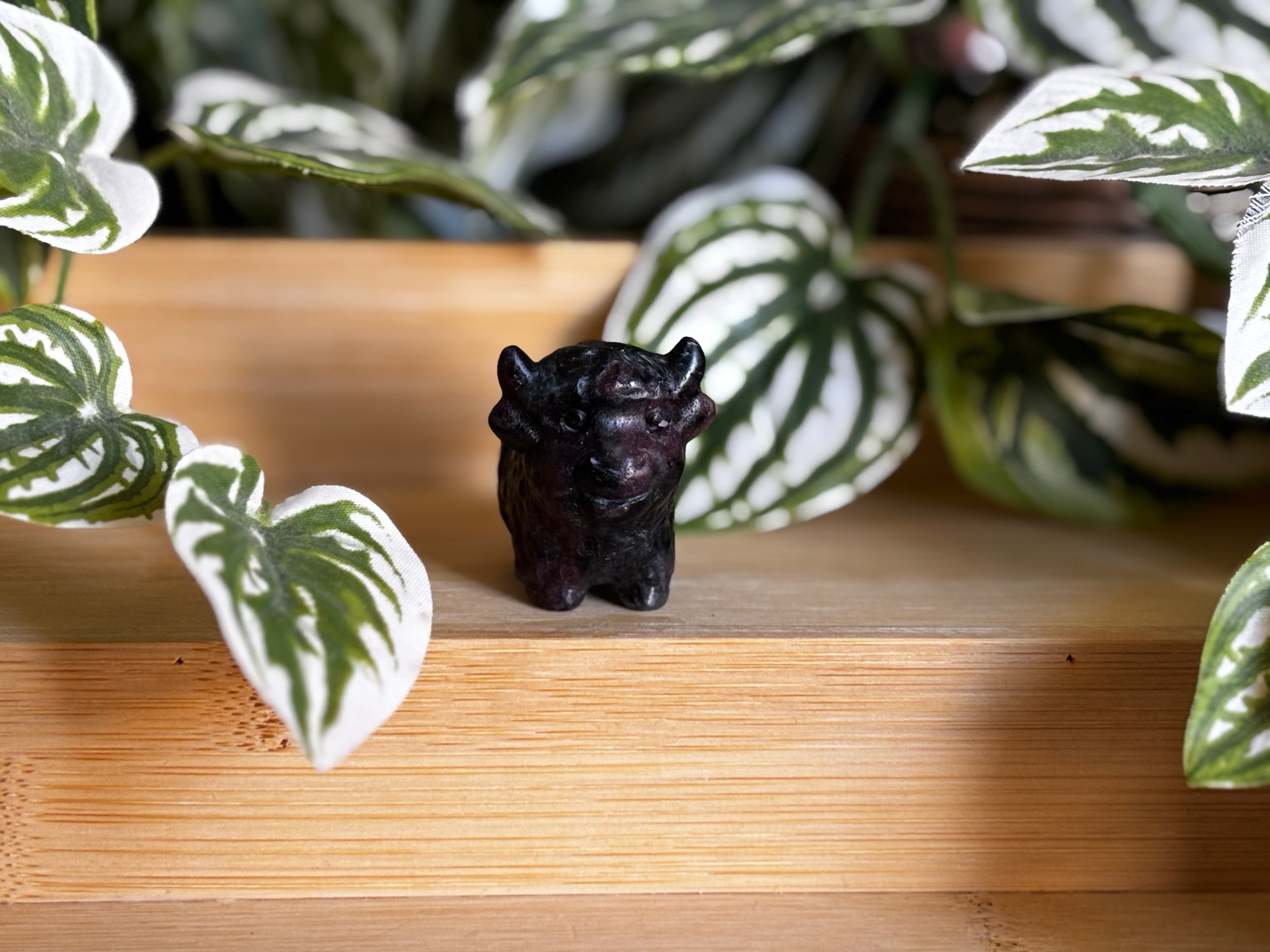 Highland Cow - Garnet