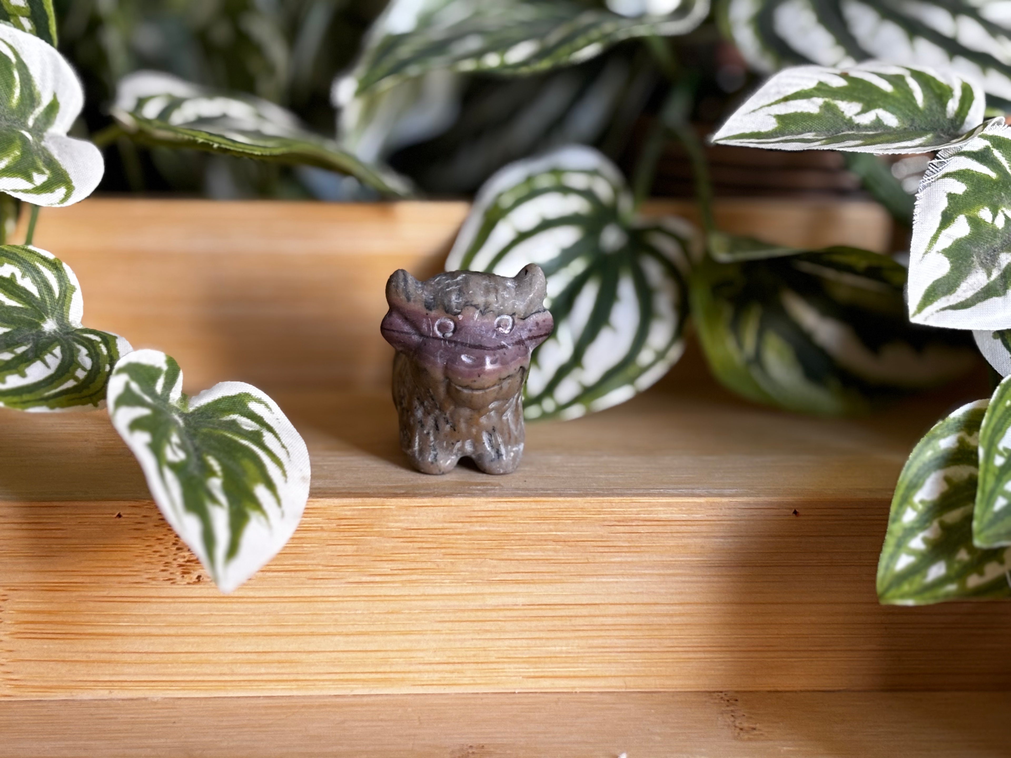 Highland Cow - Picture Jasper