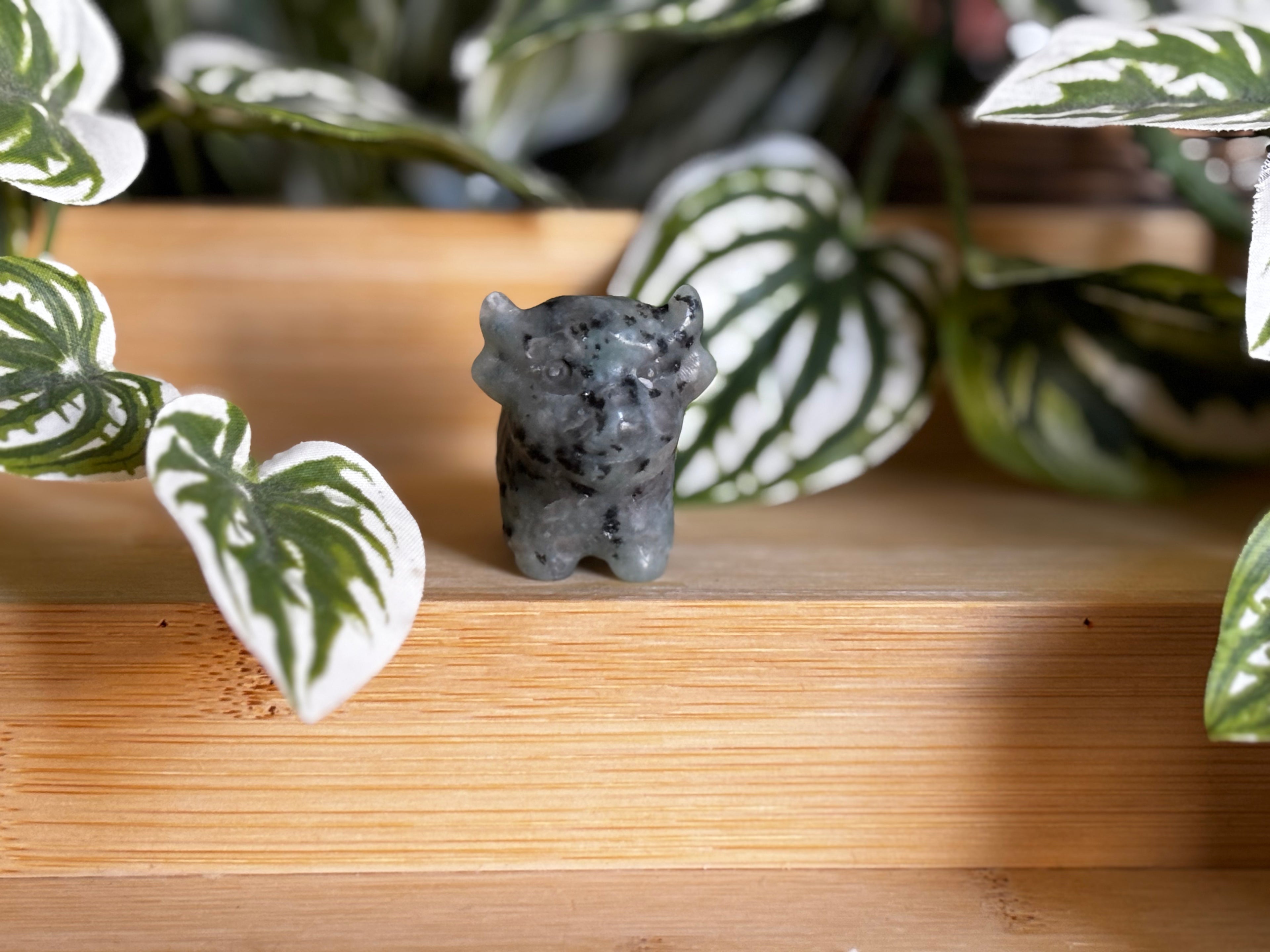 Highland Cow - Kiwi Jasper