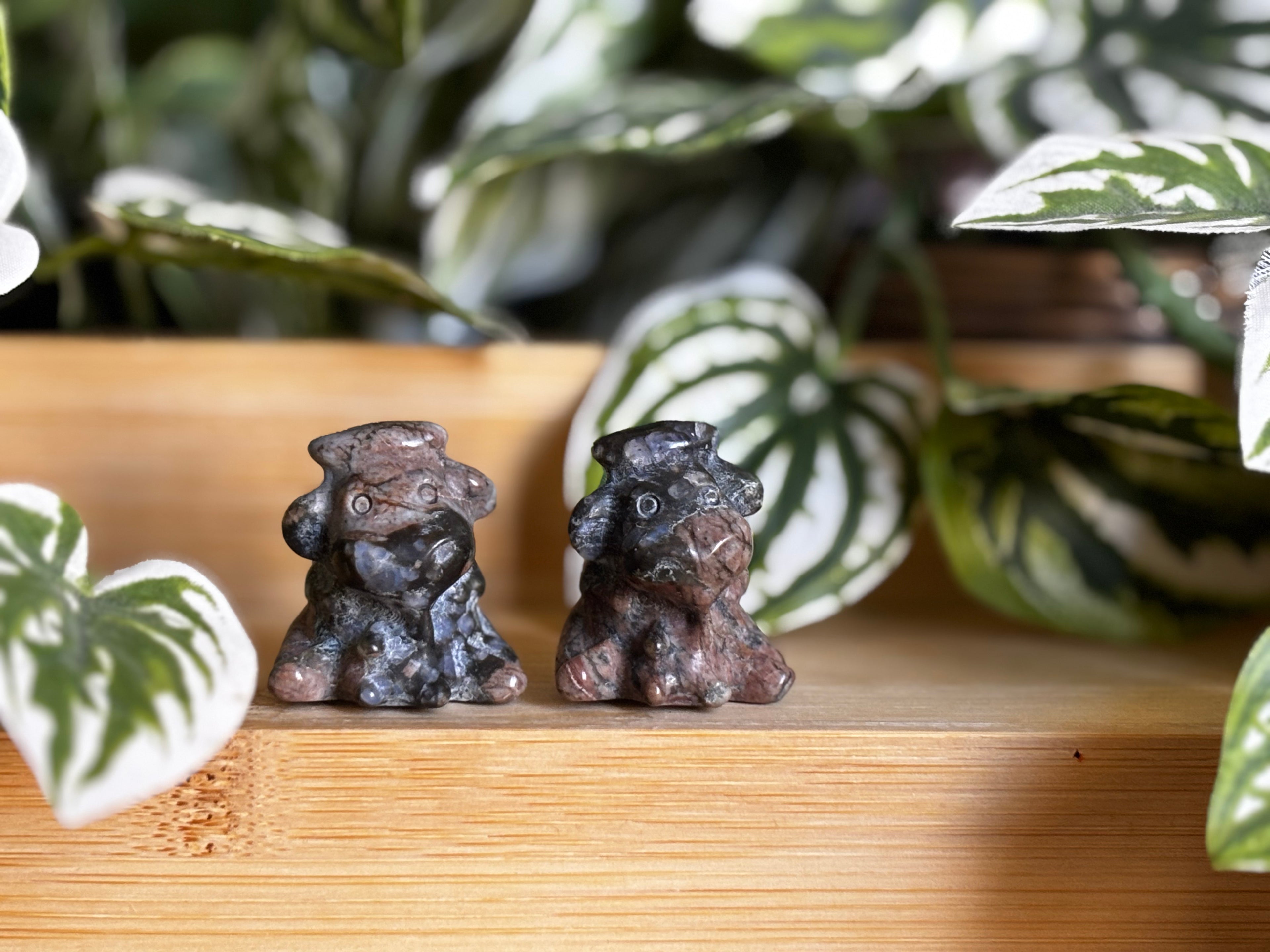 Que Sera Milking Cow