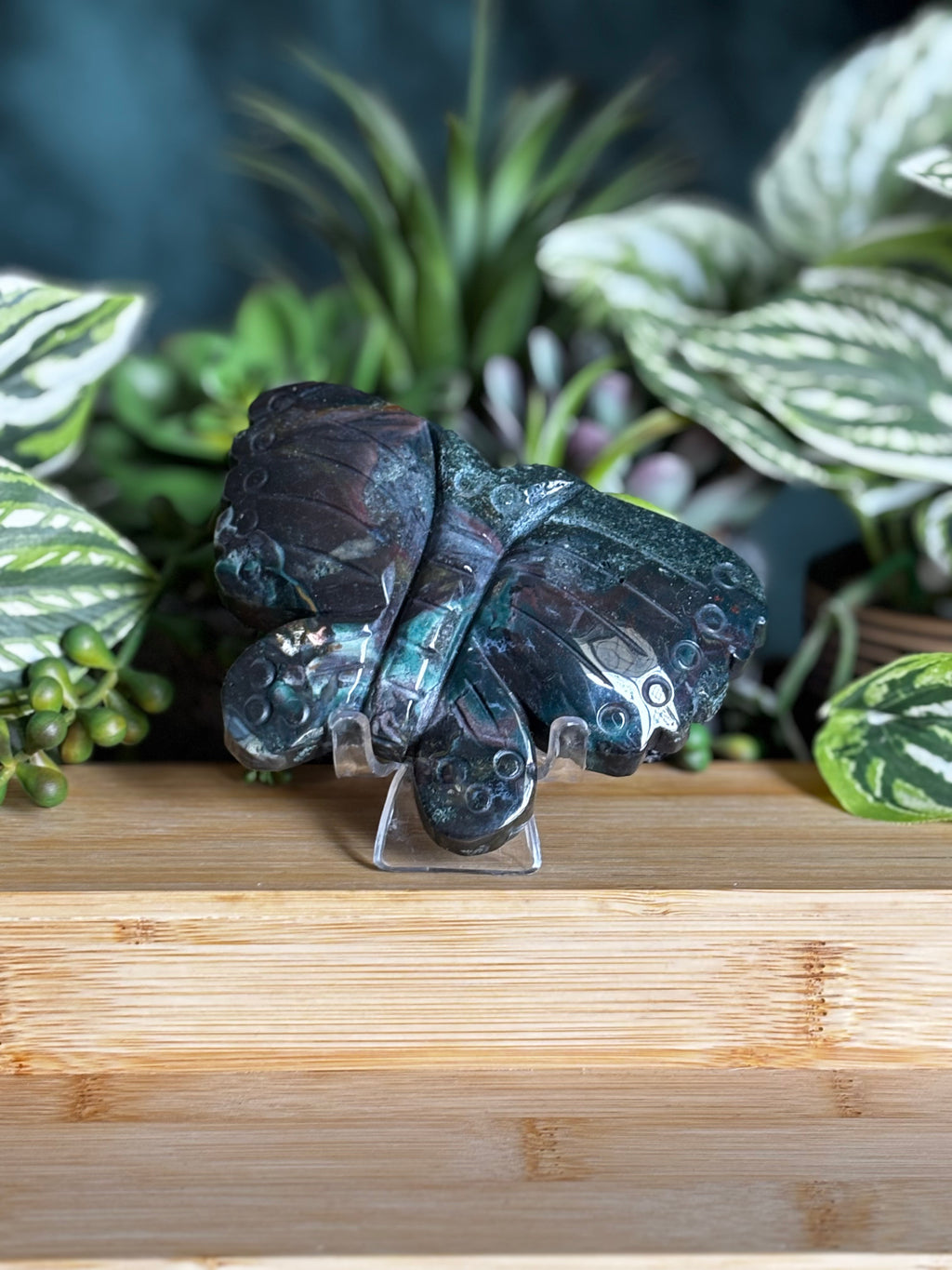 Ocean Jasper Butterfly