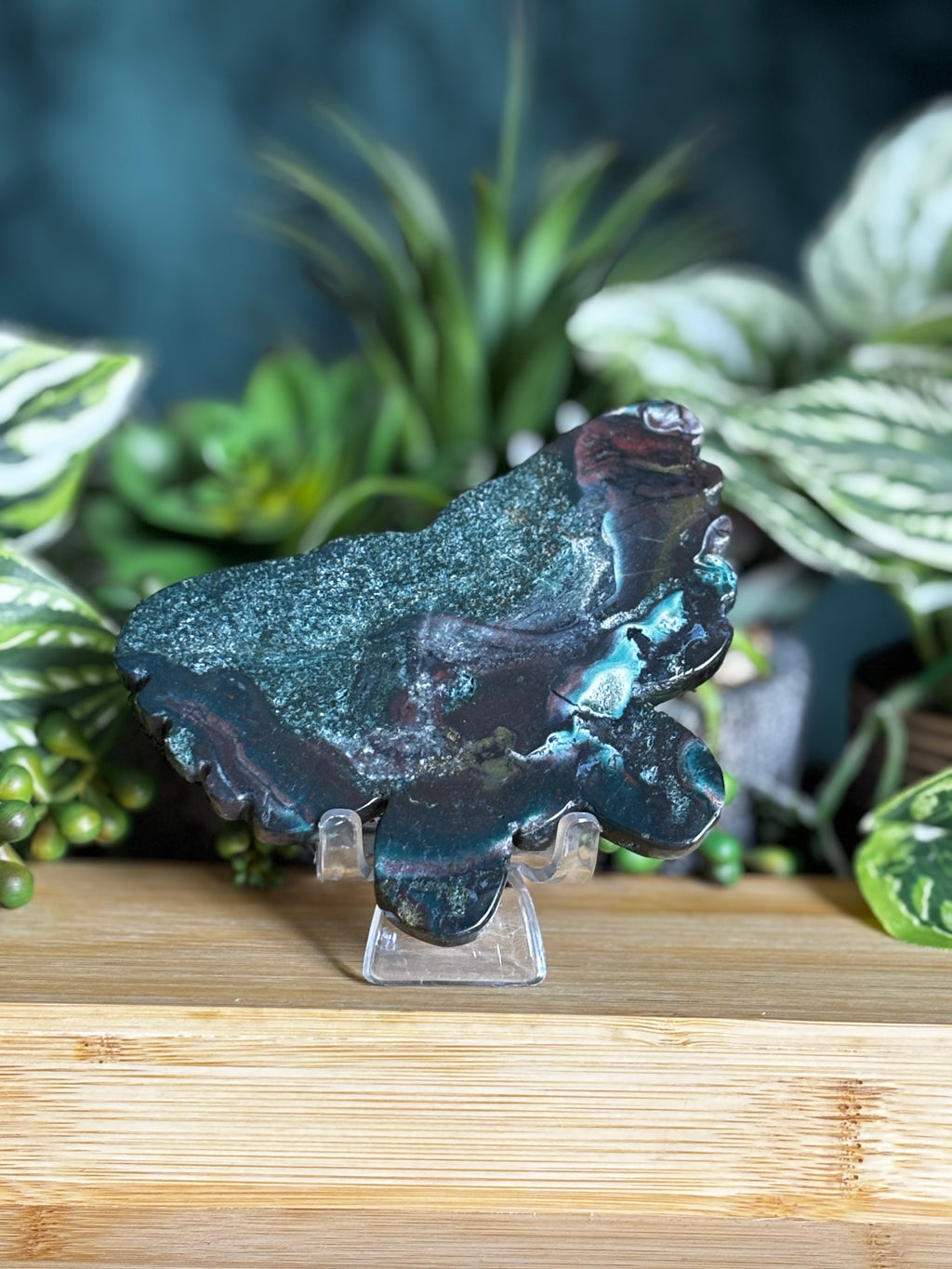 Ocean Jasper Butterfly