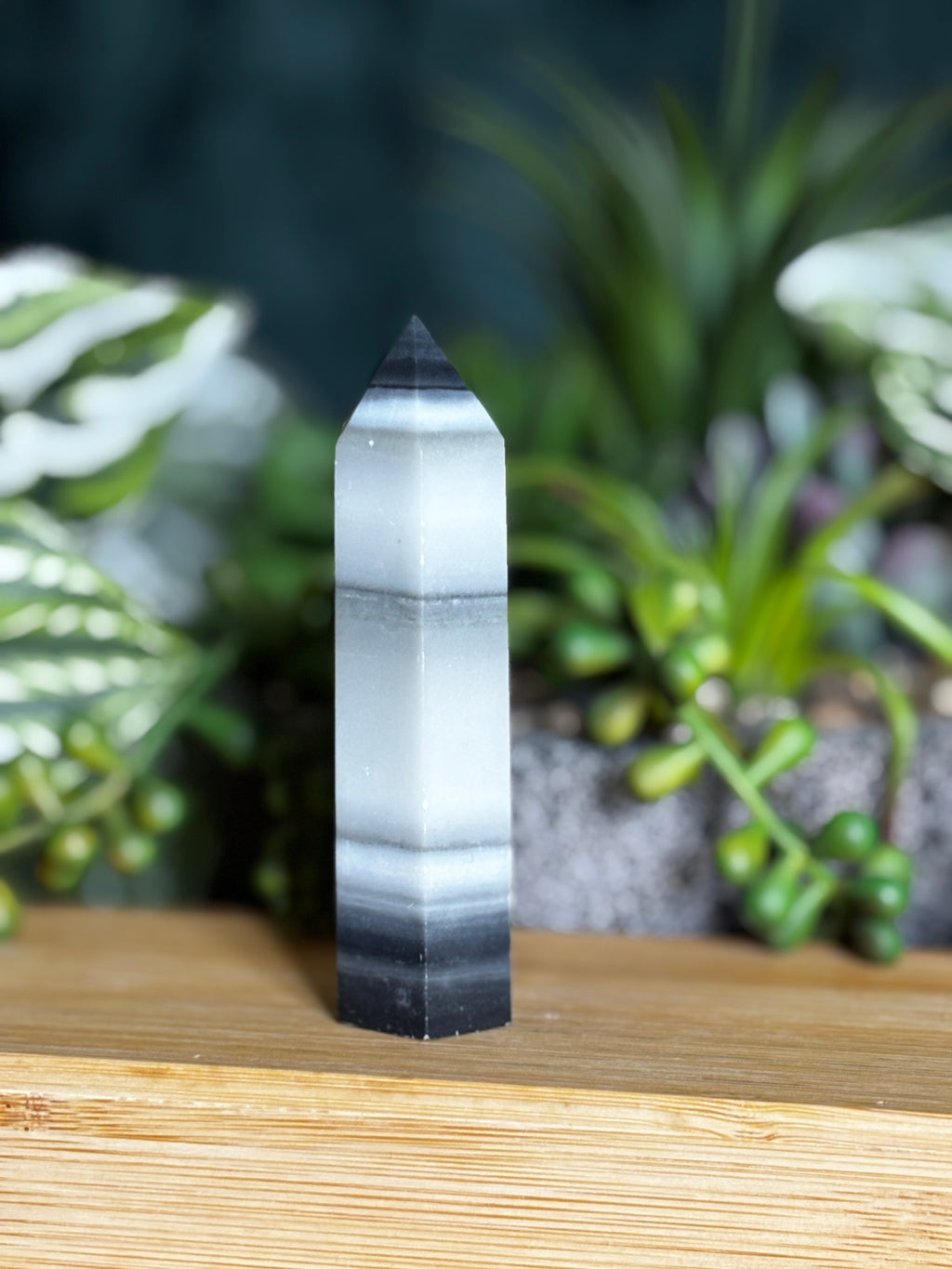 Tai Chi Jasper Point