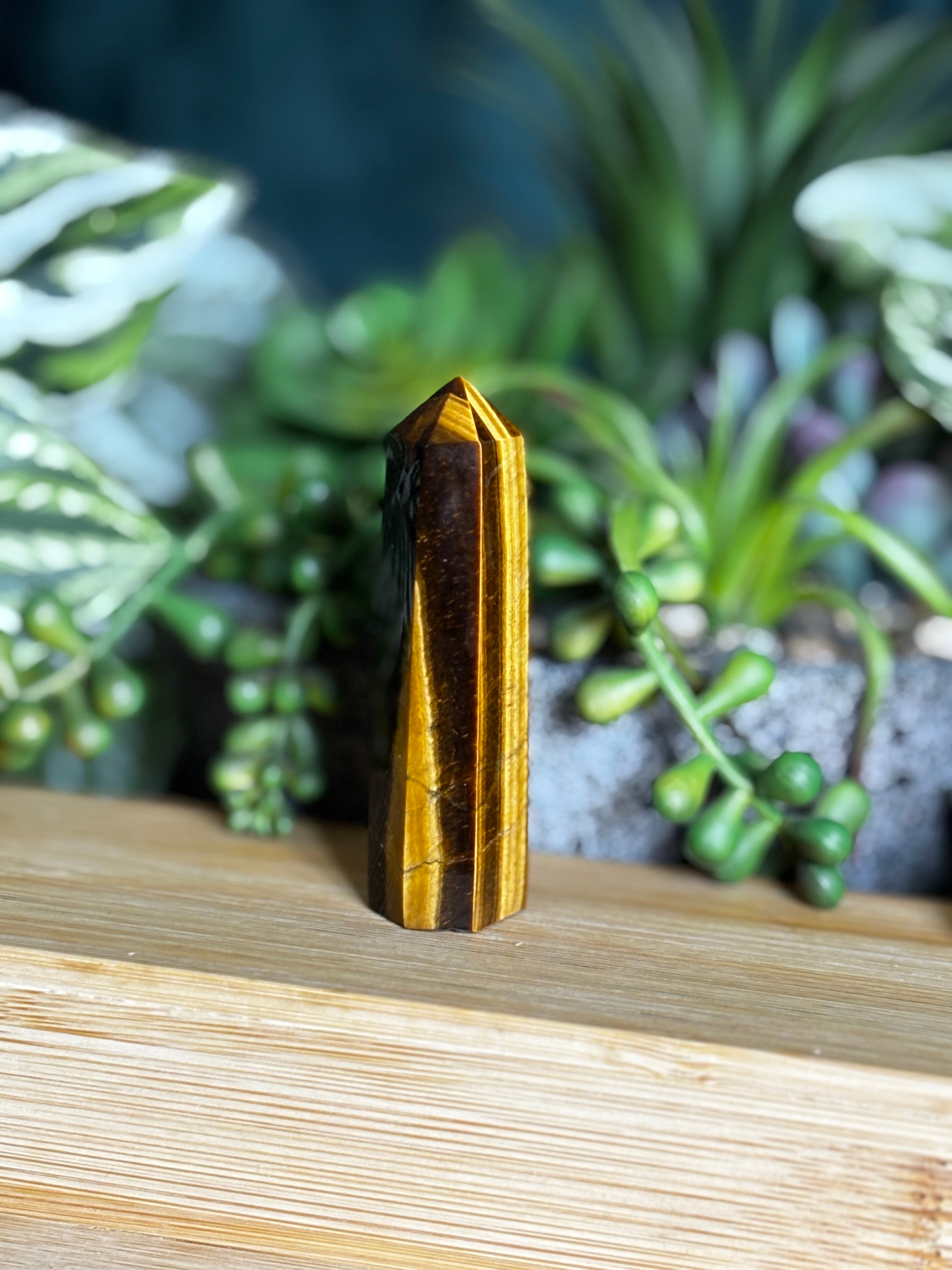 Tigers Eye Mini Point