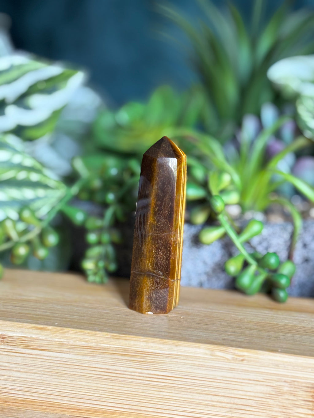 Tigers Eye Mini Point