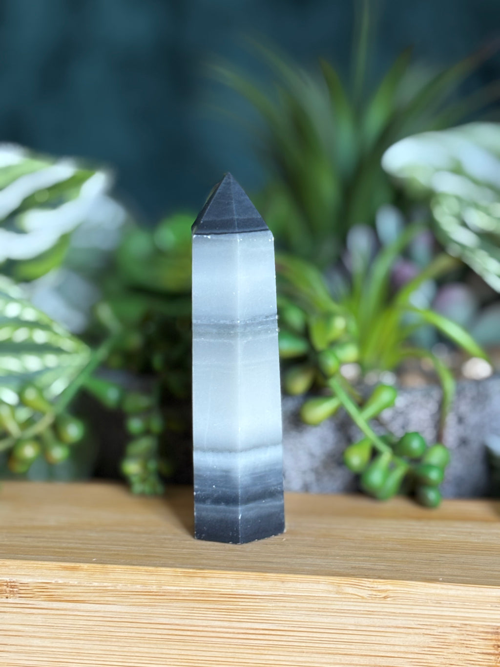 Tai Chi Jasper Point 2