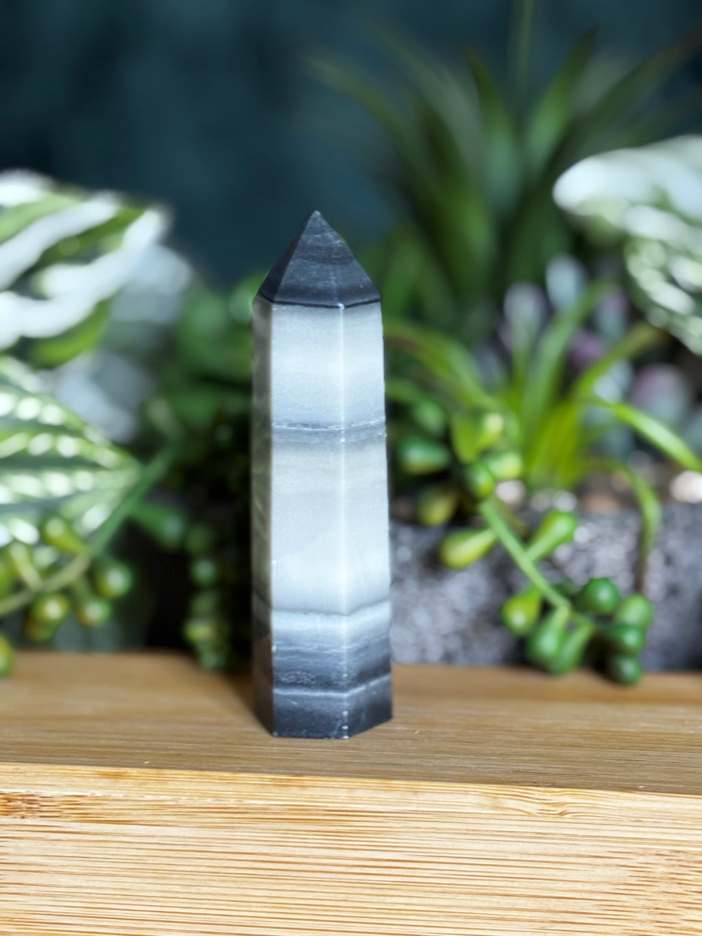 Tai Chi Jasper Point 2