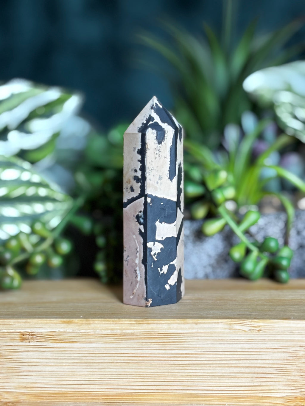 Picture Jasper Point