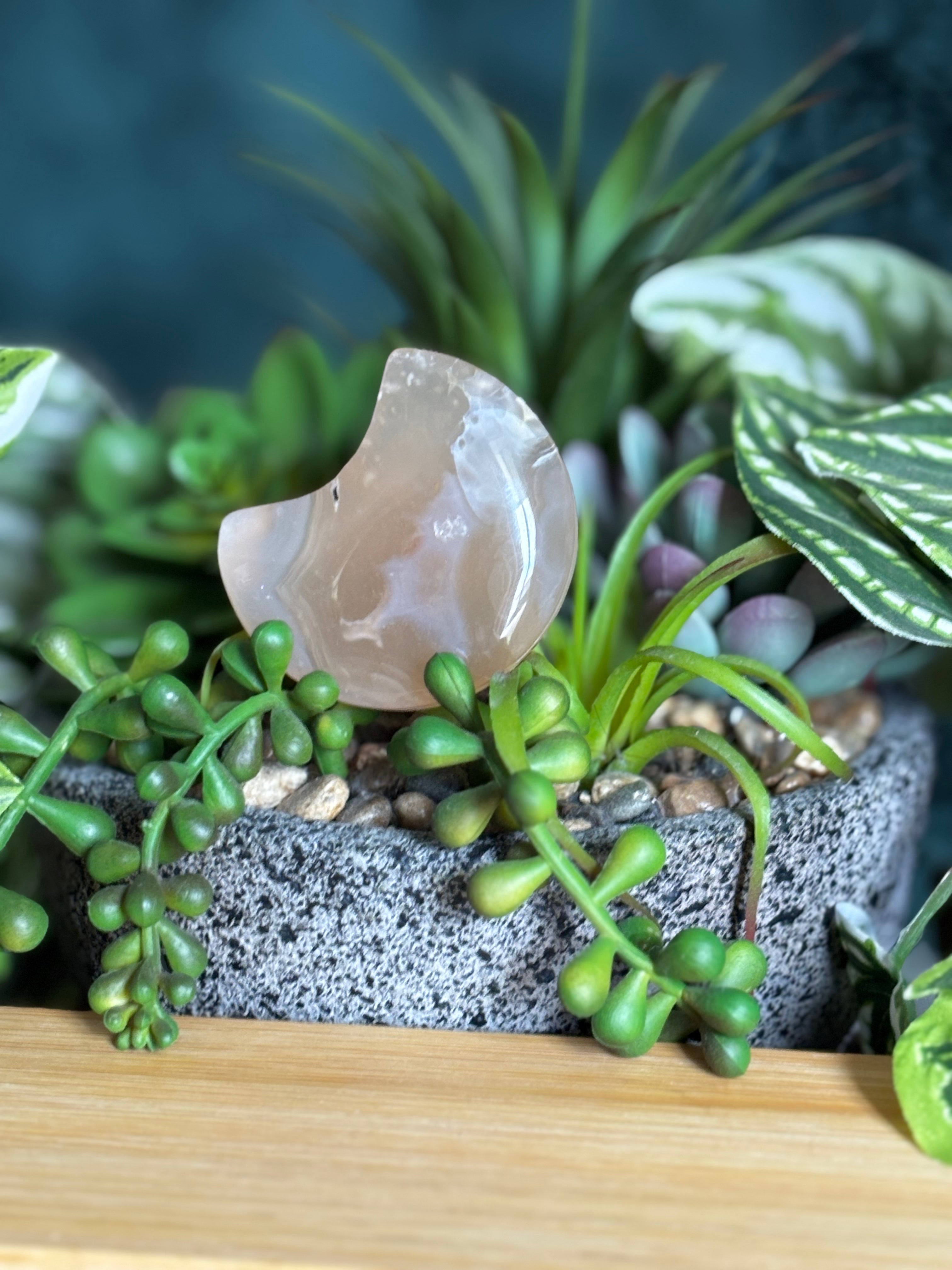 Flower Agate Moon