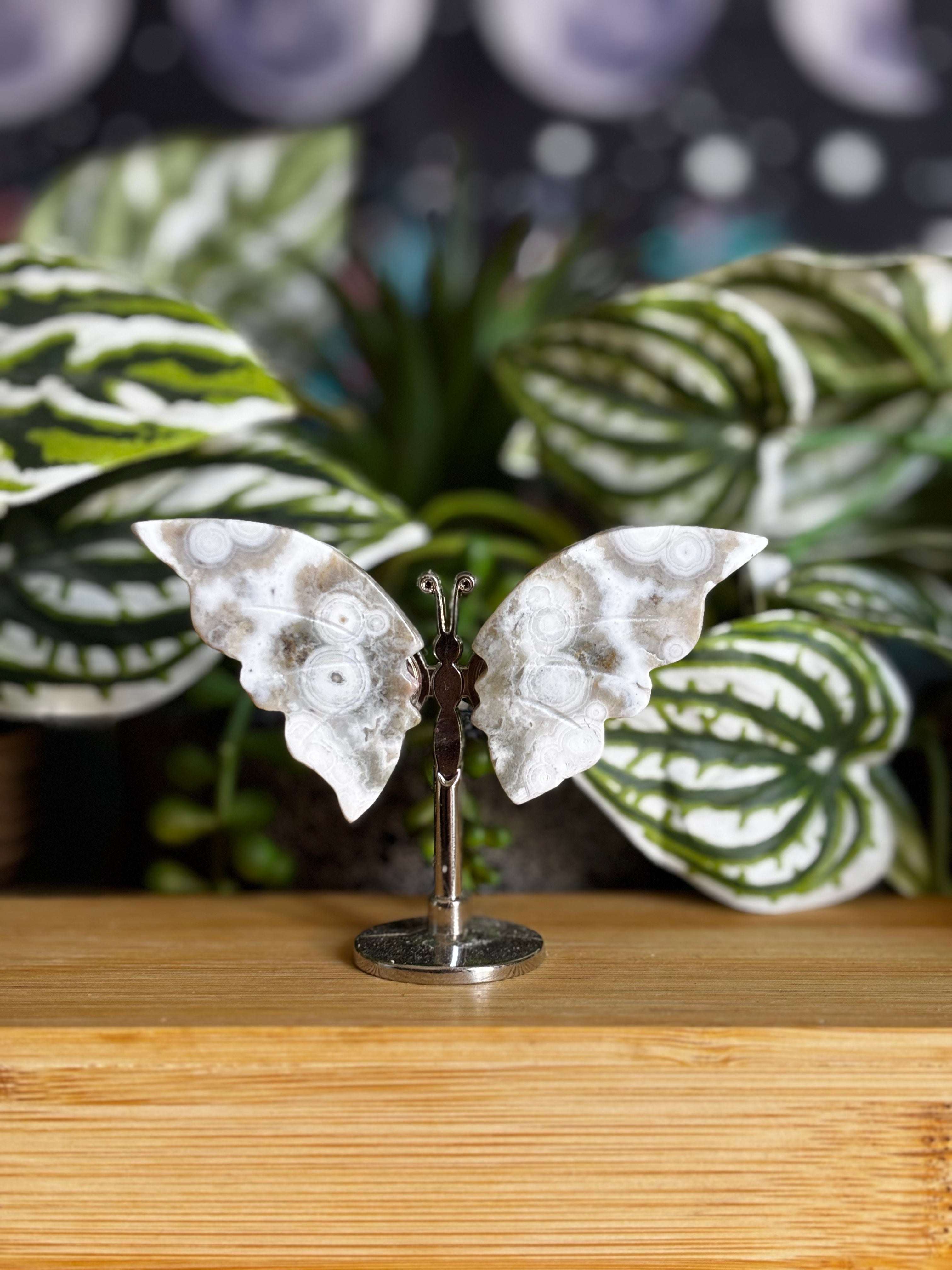 Ocean Jasper Butterfly