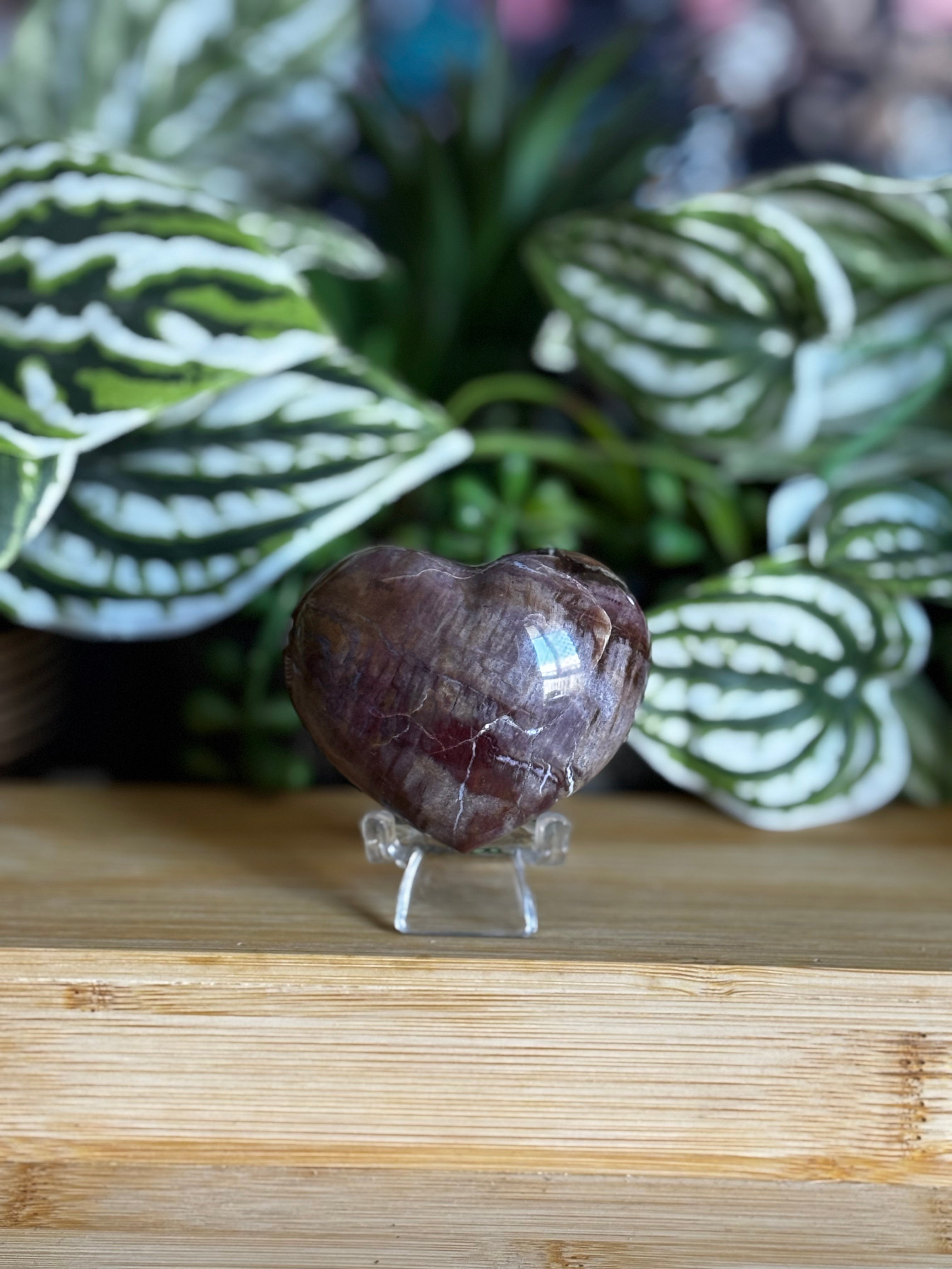 Petrified Wood Heart