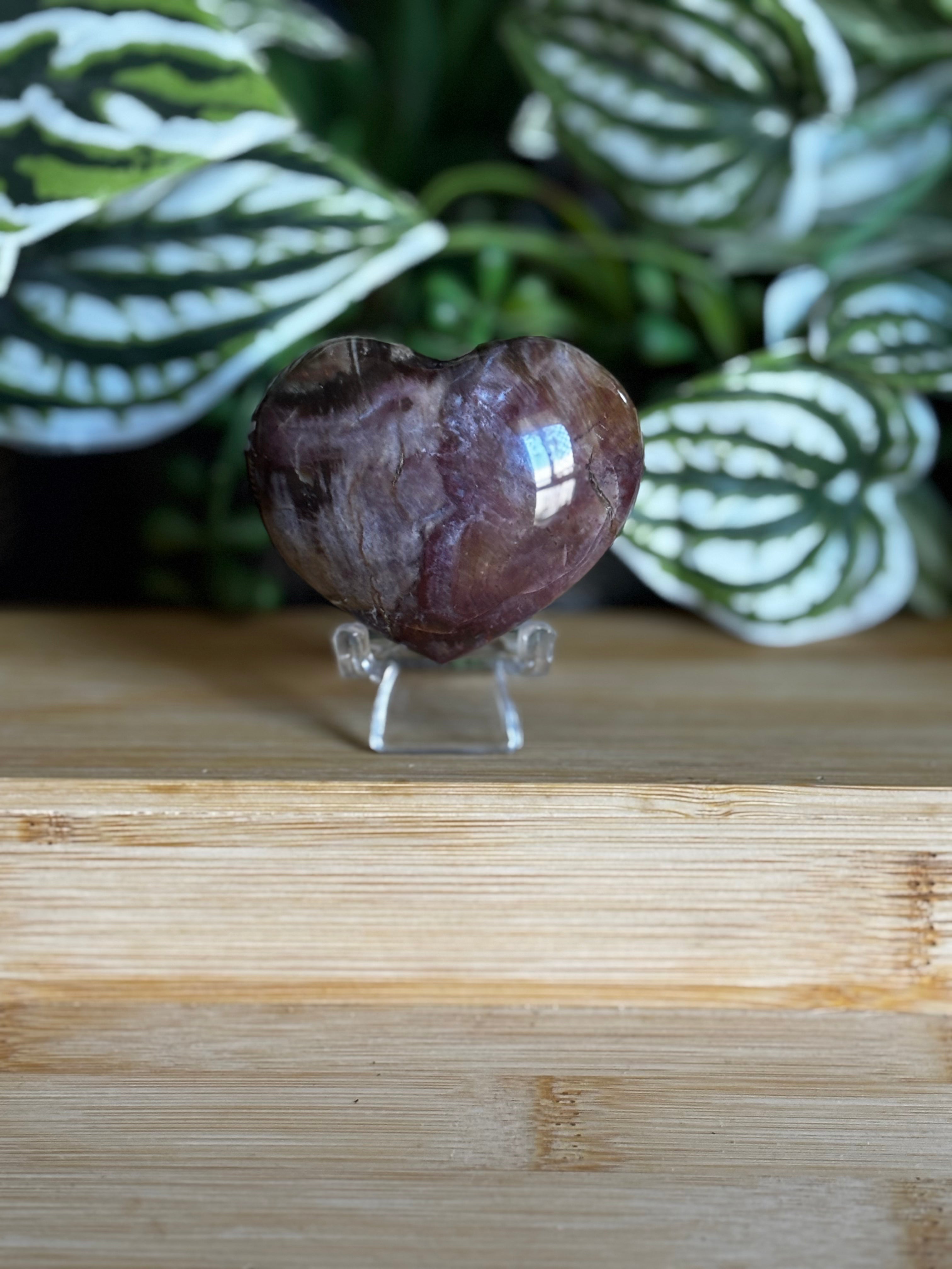 Petrified Wood Heart