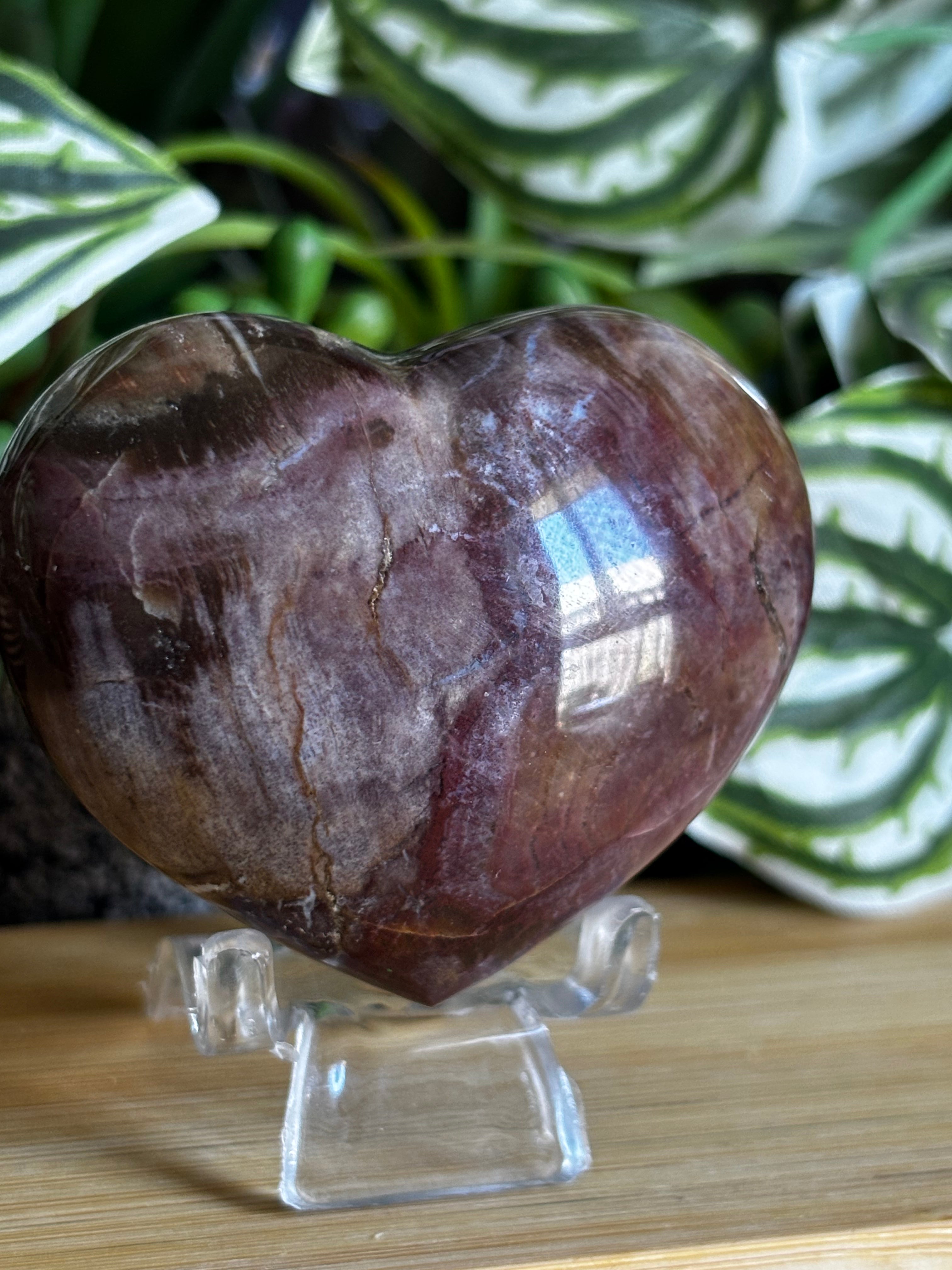 Petrified Wood Heart