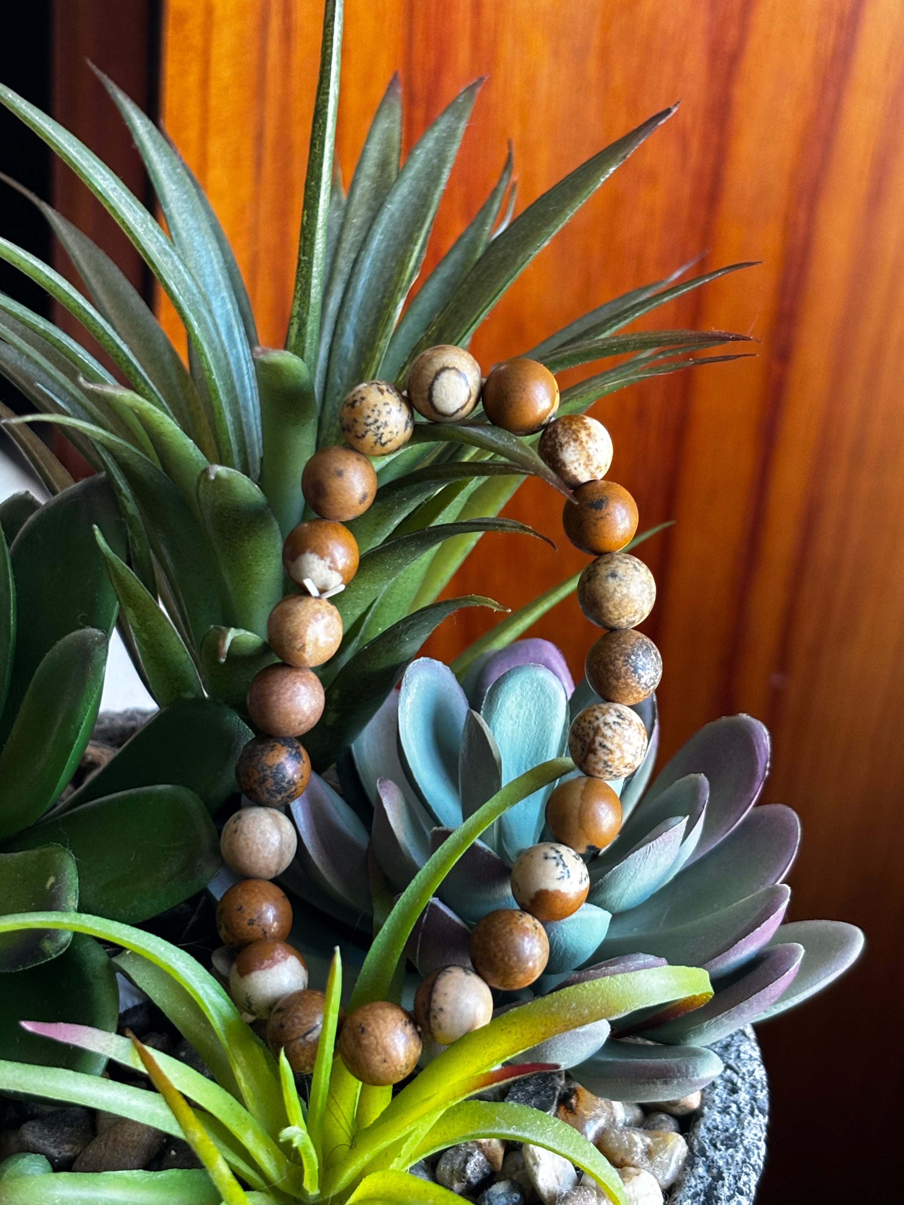 Picture Jasper 8mm Bracelet