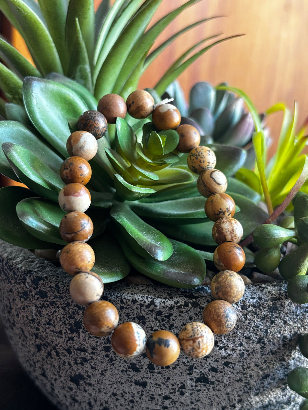 Picture Jasper 8mm Bracelet