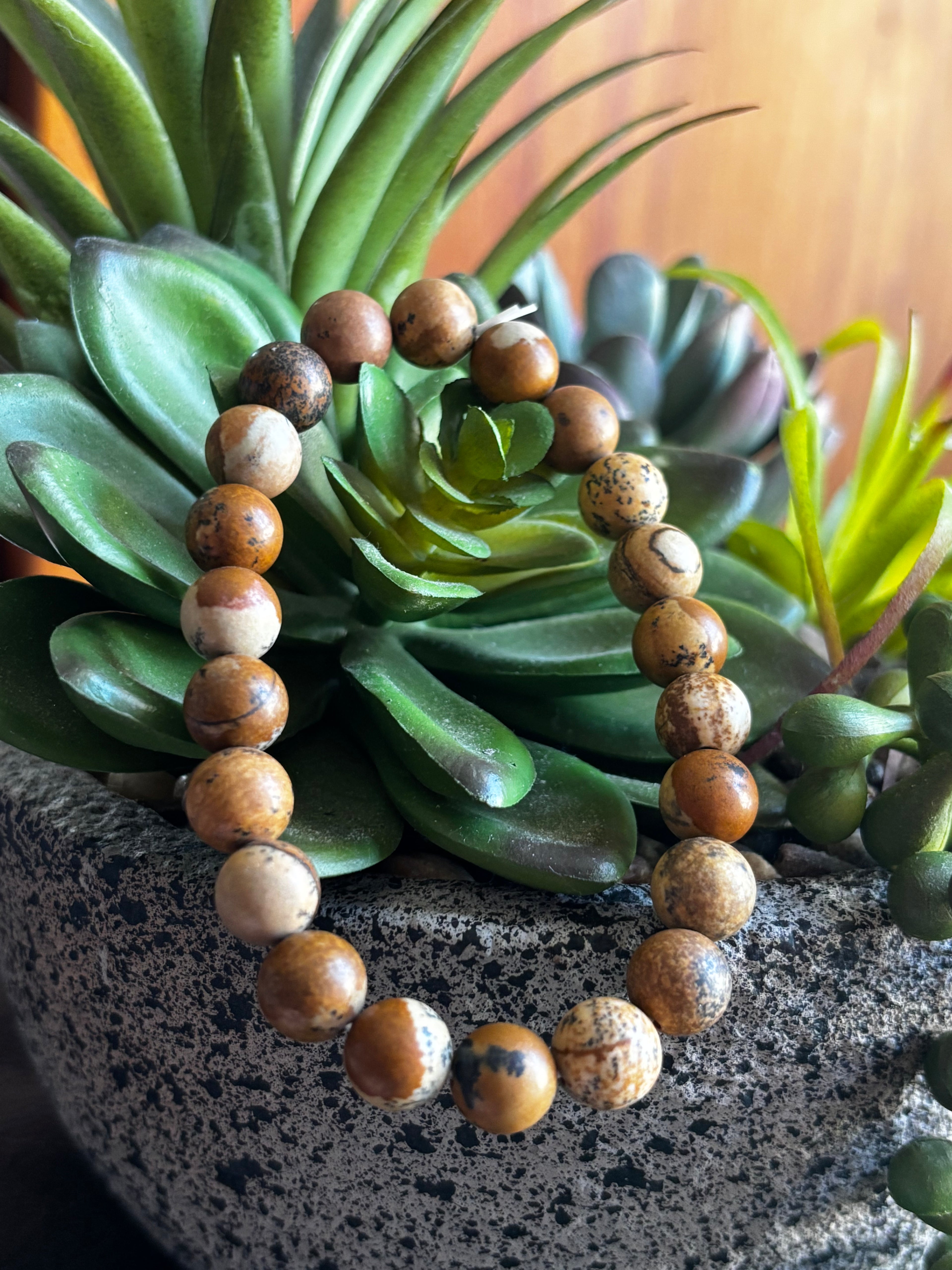 Picture Jasper 8mm Bracelet
