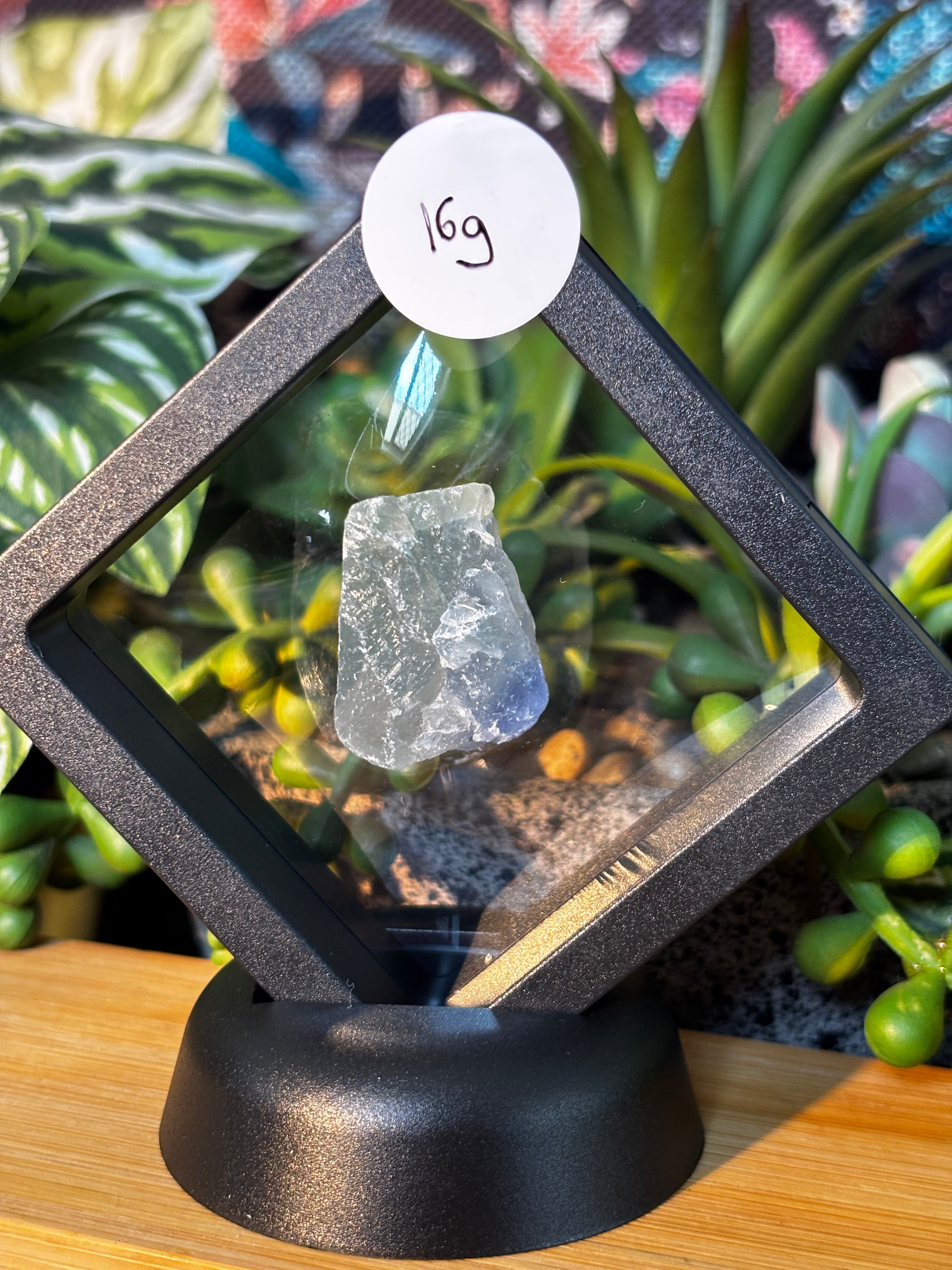 #3 - 16g Fluorite Specimen in Floating Membrane Display Case