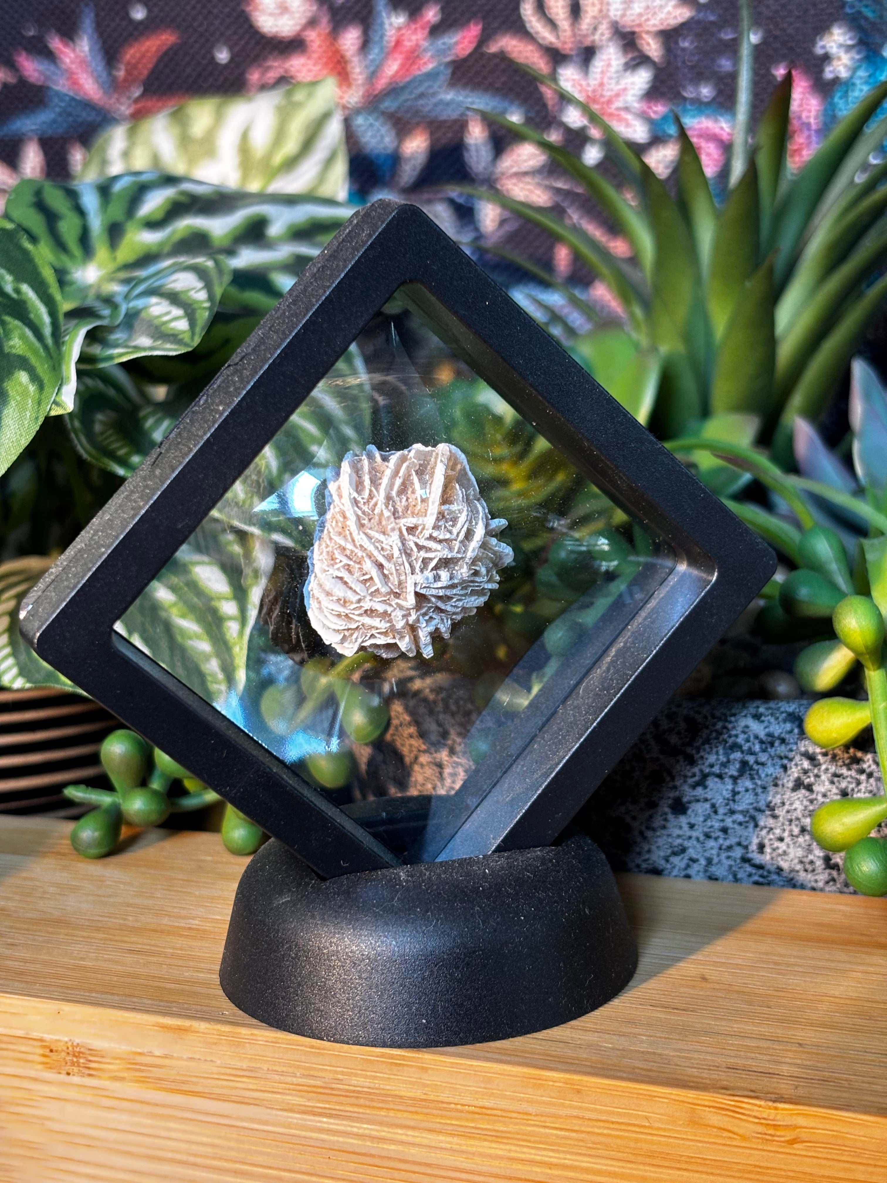 15g Desert Rose Specimen in Floating Membrane Display Case