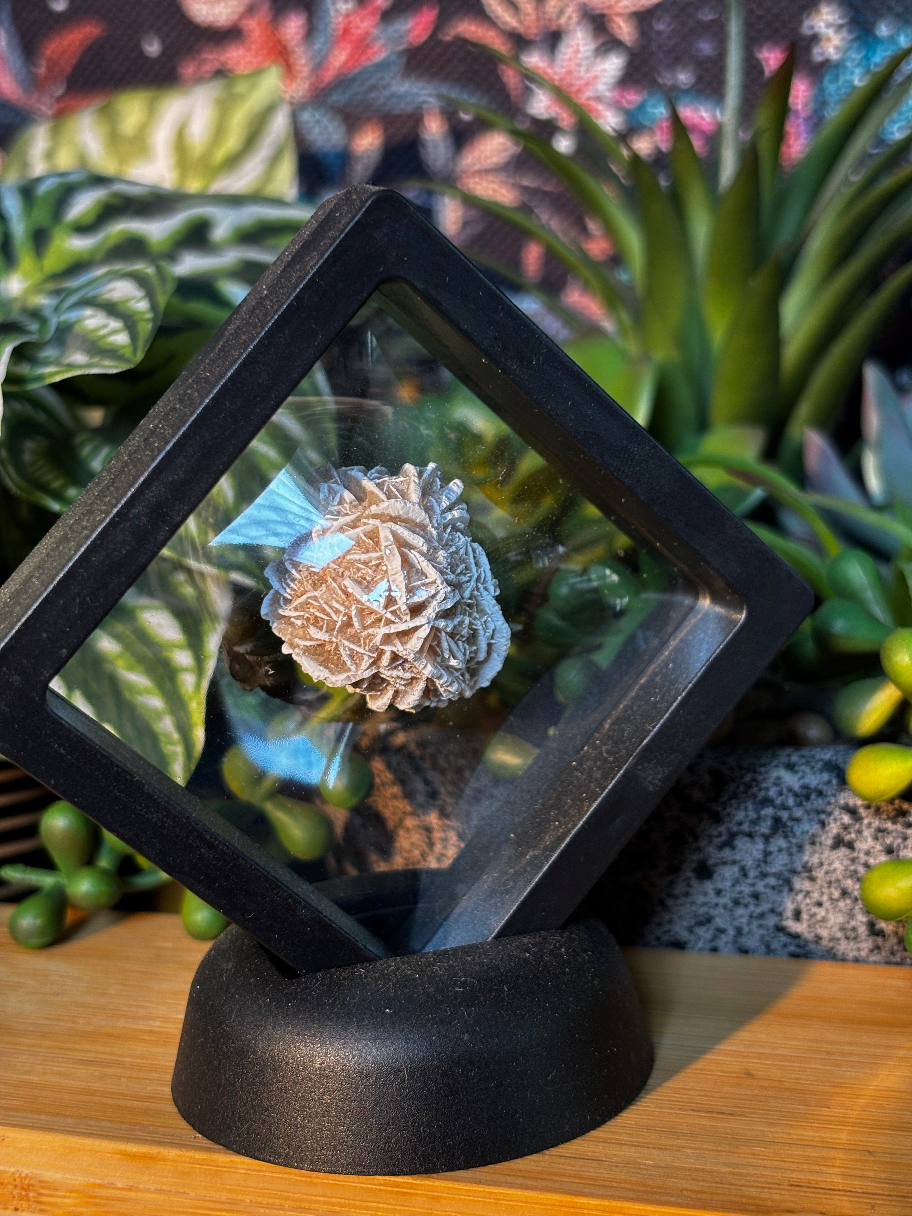 15g Desert Rose Specimen in Floating Membrane Display Case