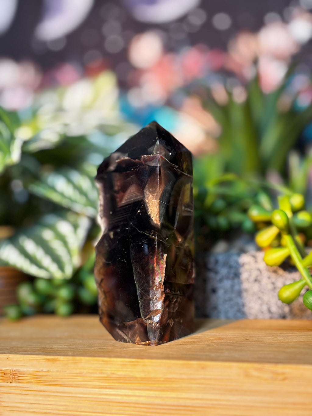 Chocolate Fluorite Point