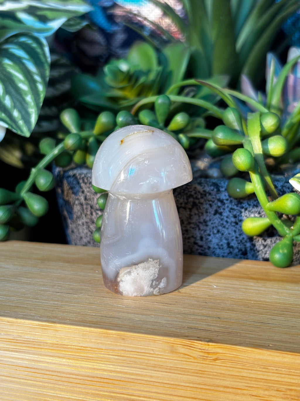 Flower Agate Mushroom w/ Druzy
