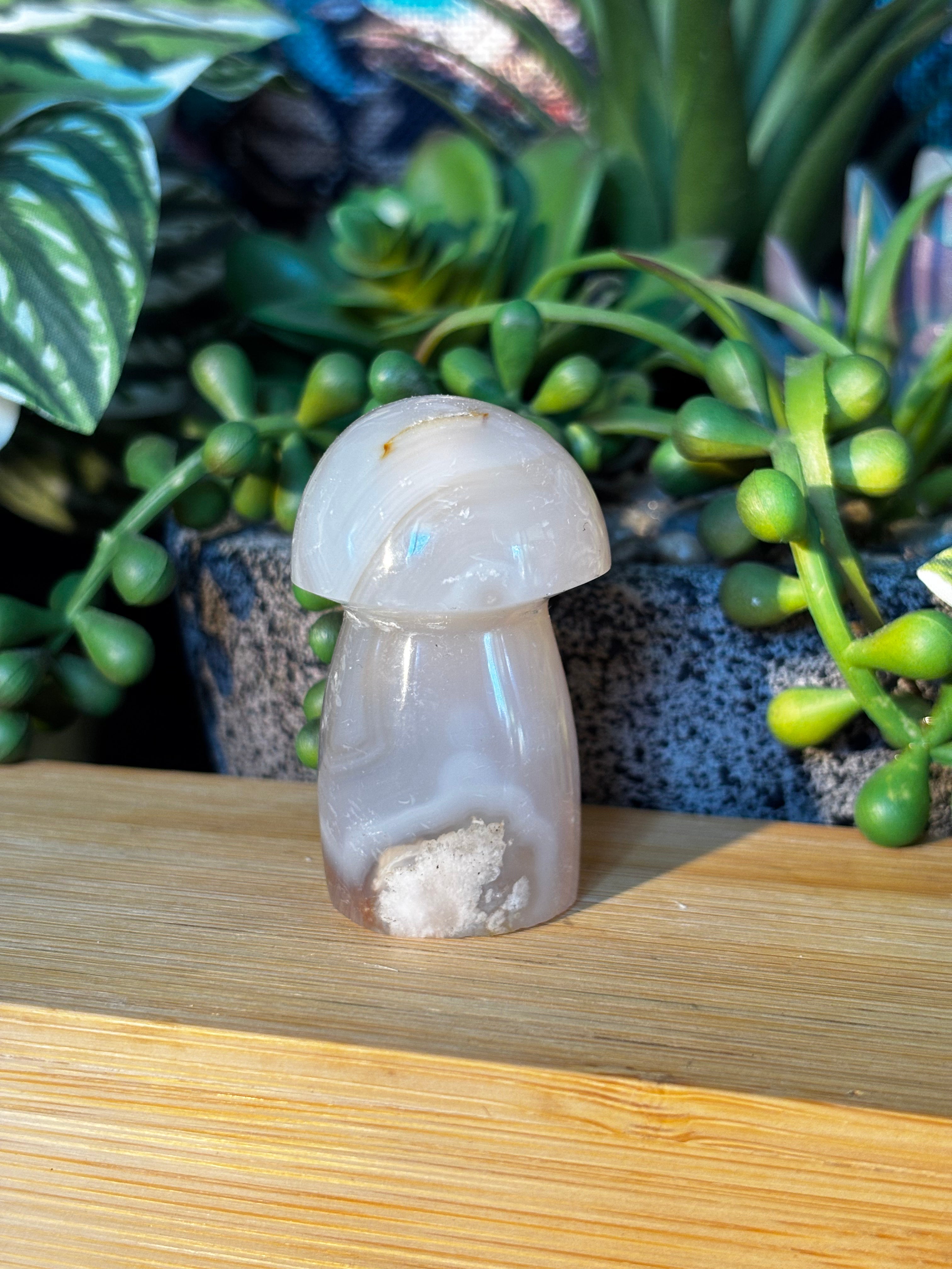 Flower Agate Mushroom w/ Druzy