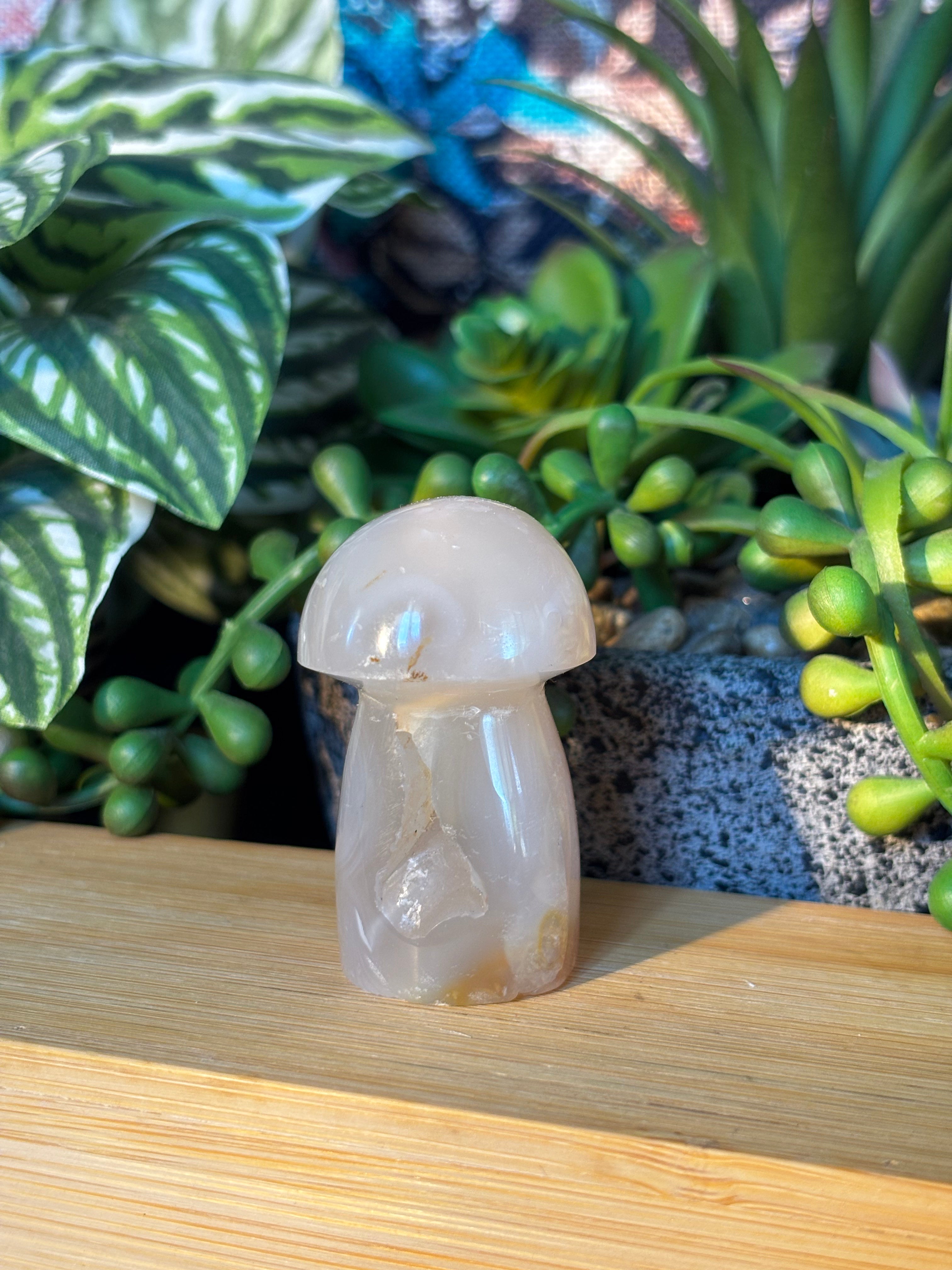 Flower Agate Mushroom w/ Druzy