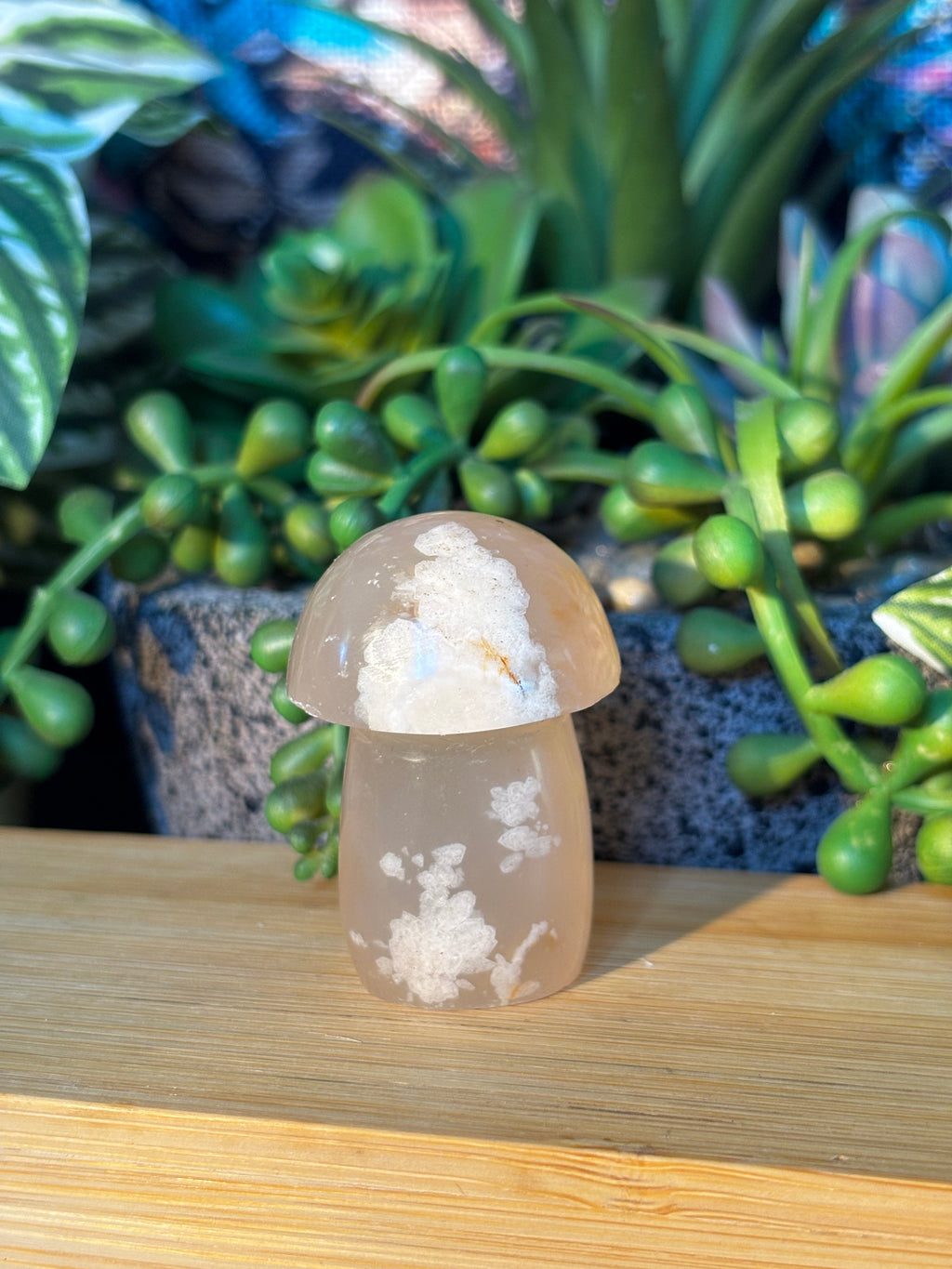 Flower Agate Mushroom