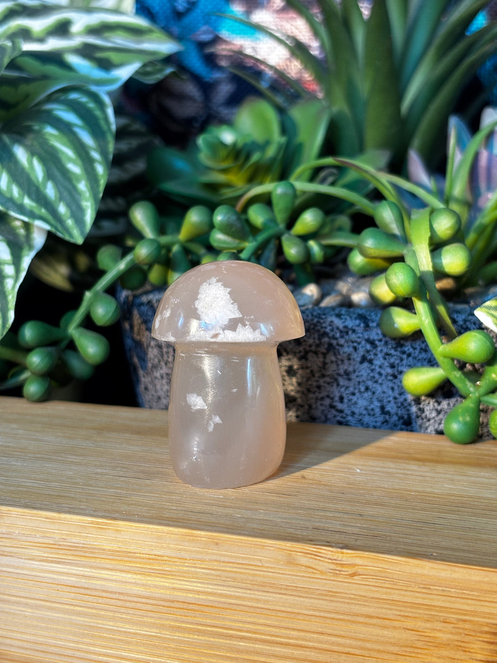 Flower Agate Mushroom