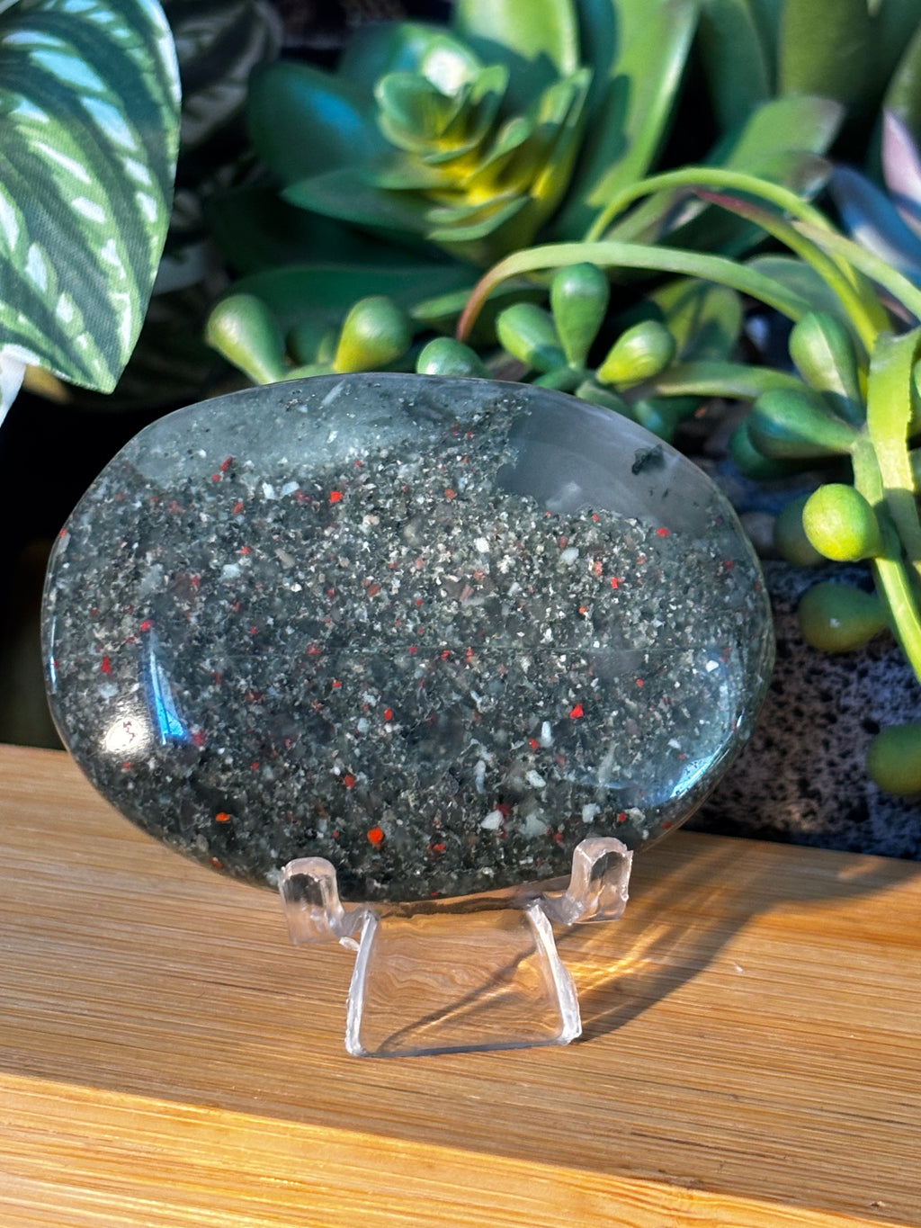 Bloodstone Palm Stone