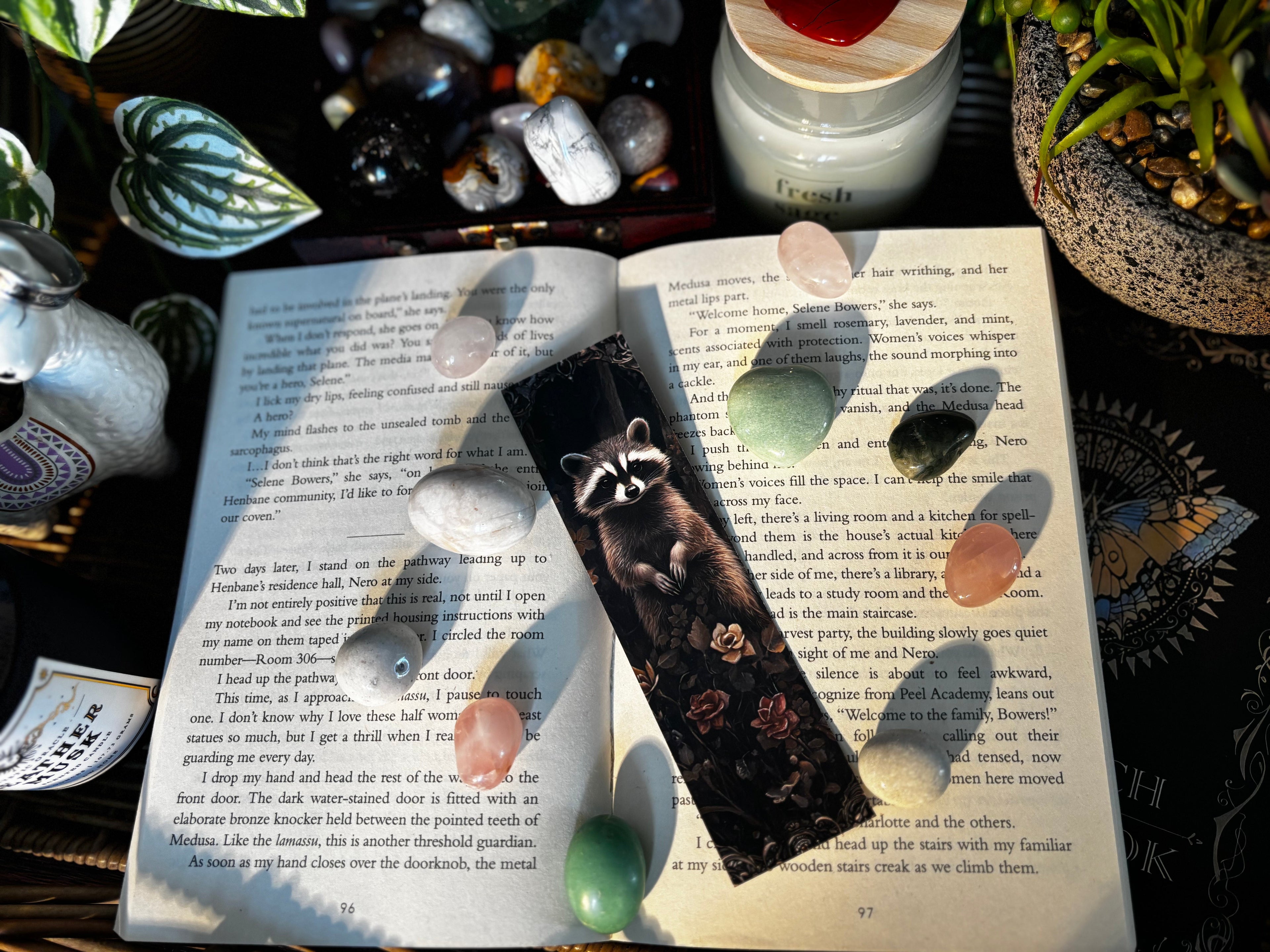 Cute Raccoon Bookmark