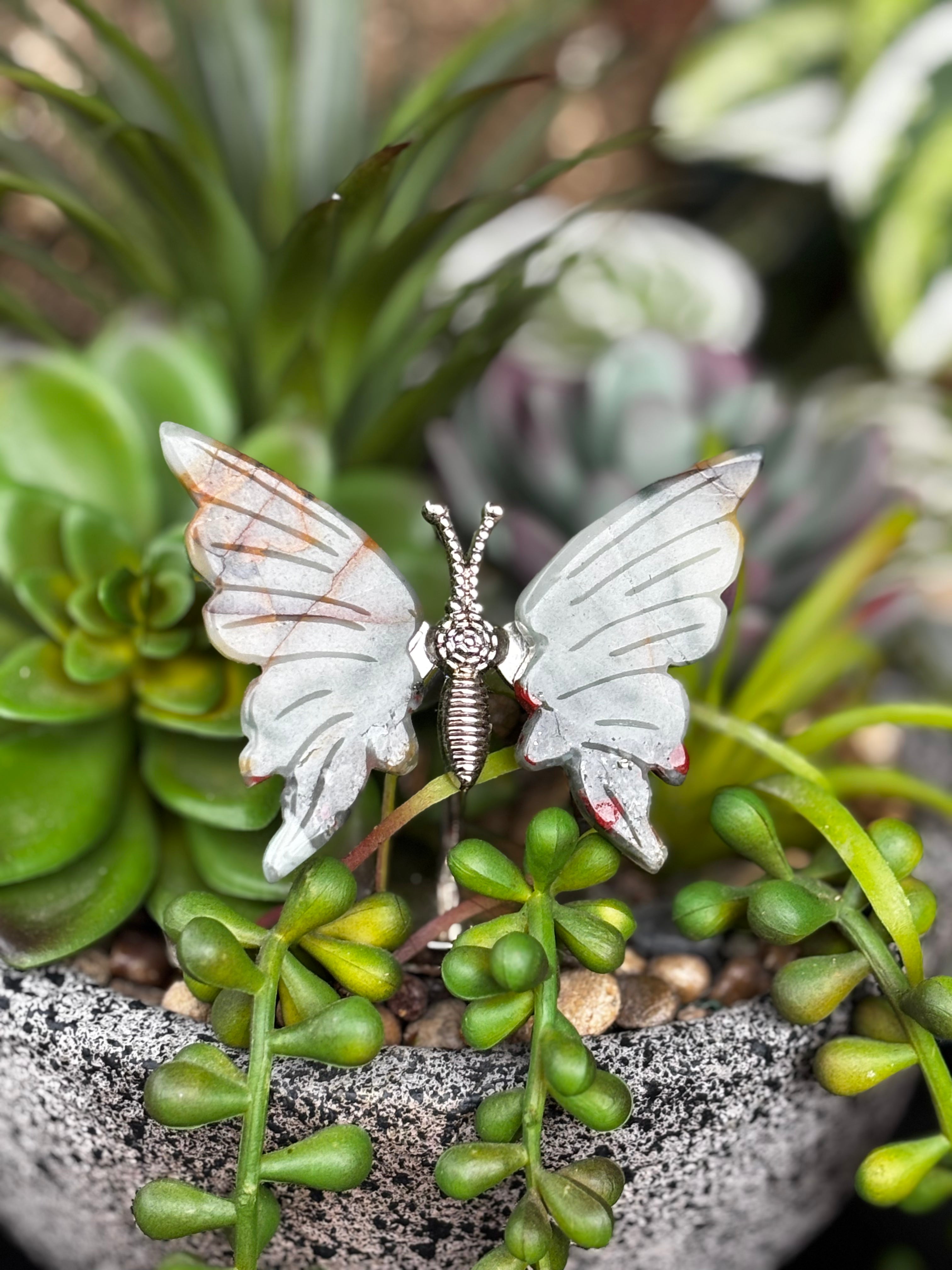 Bloodstone Butterfly