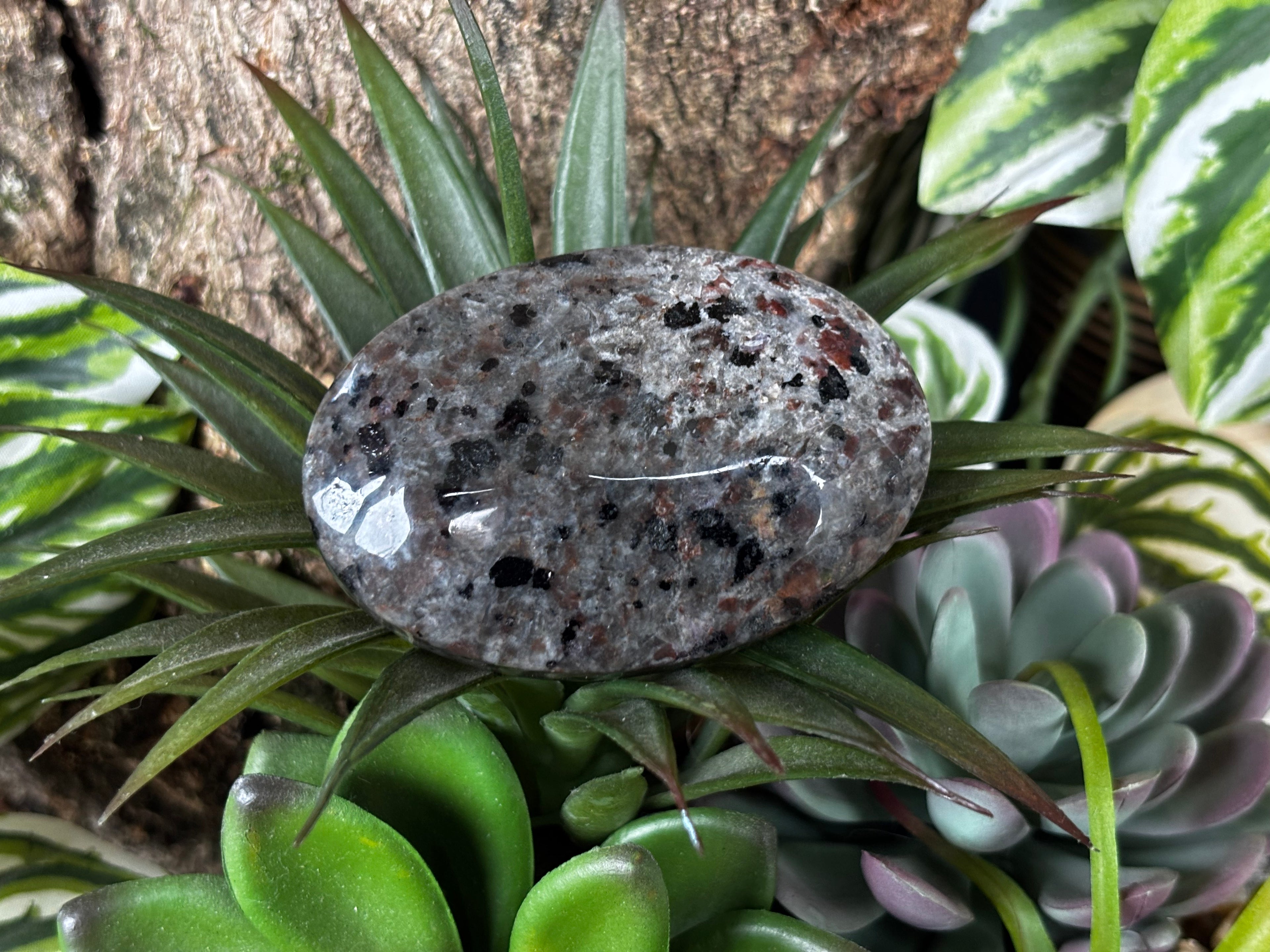 Yooperlite Palm Stone