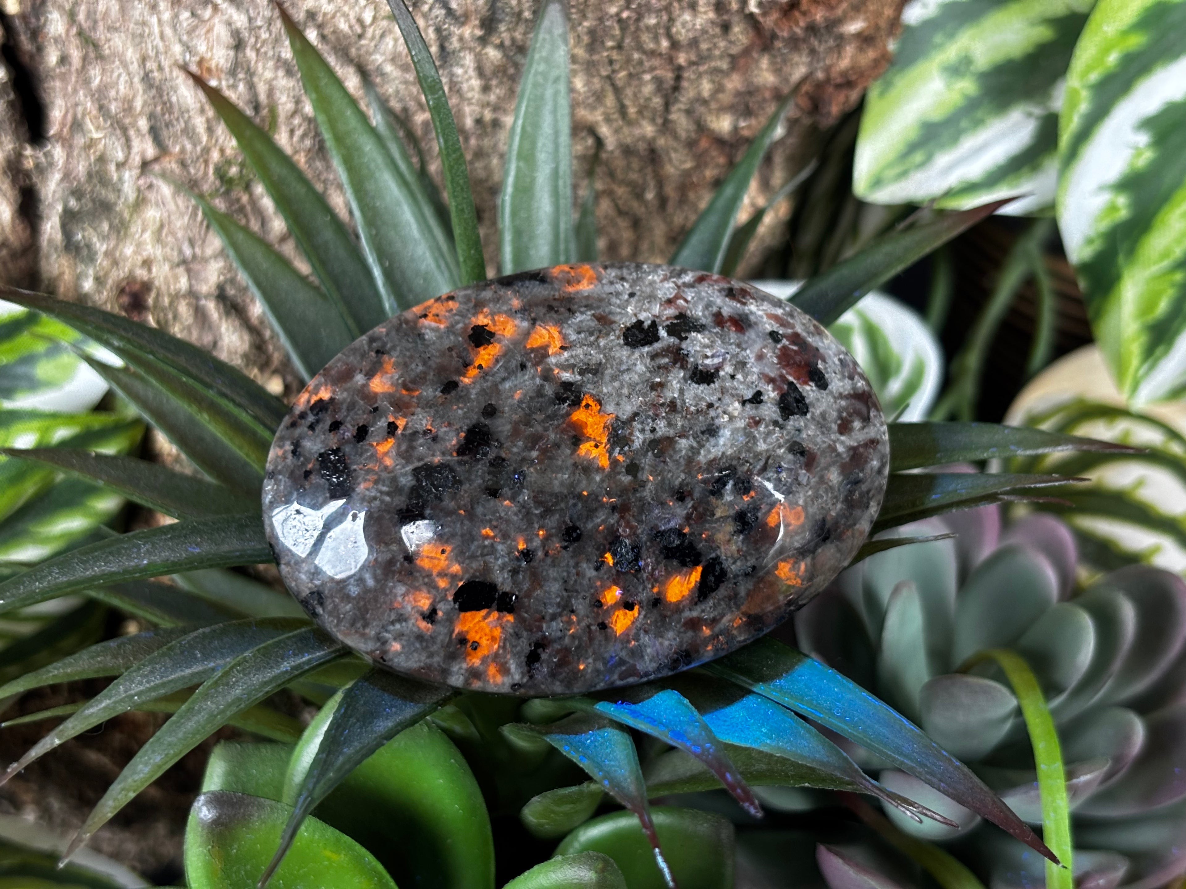 Yooperlite Palm Stone