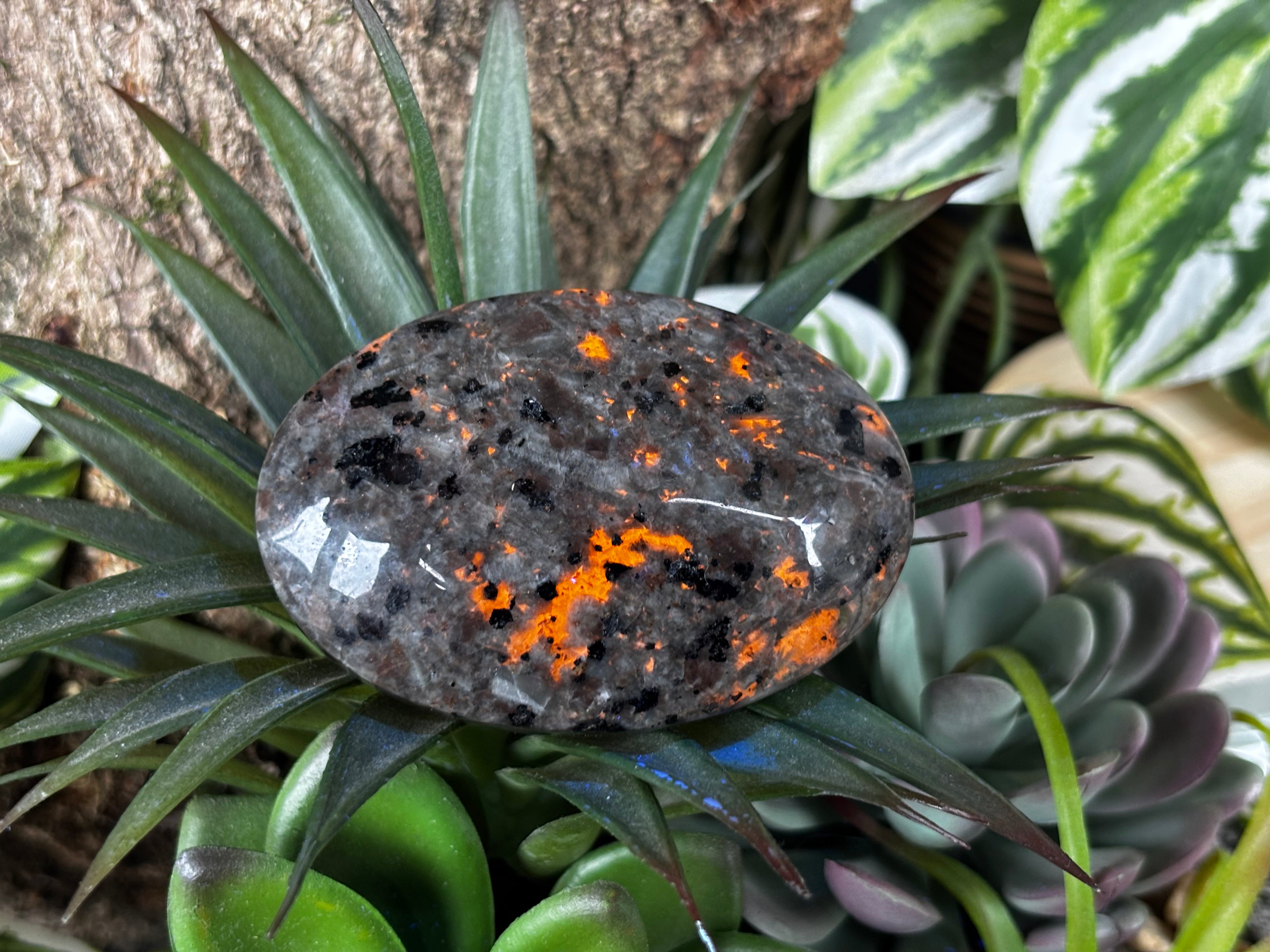 Yooperlite Palm Stone