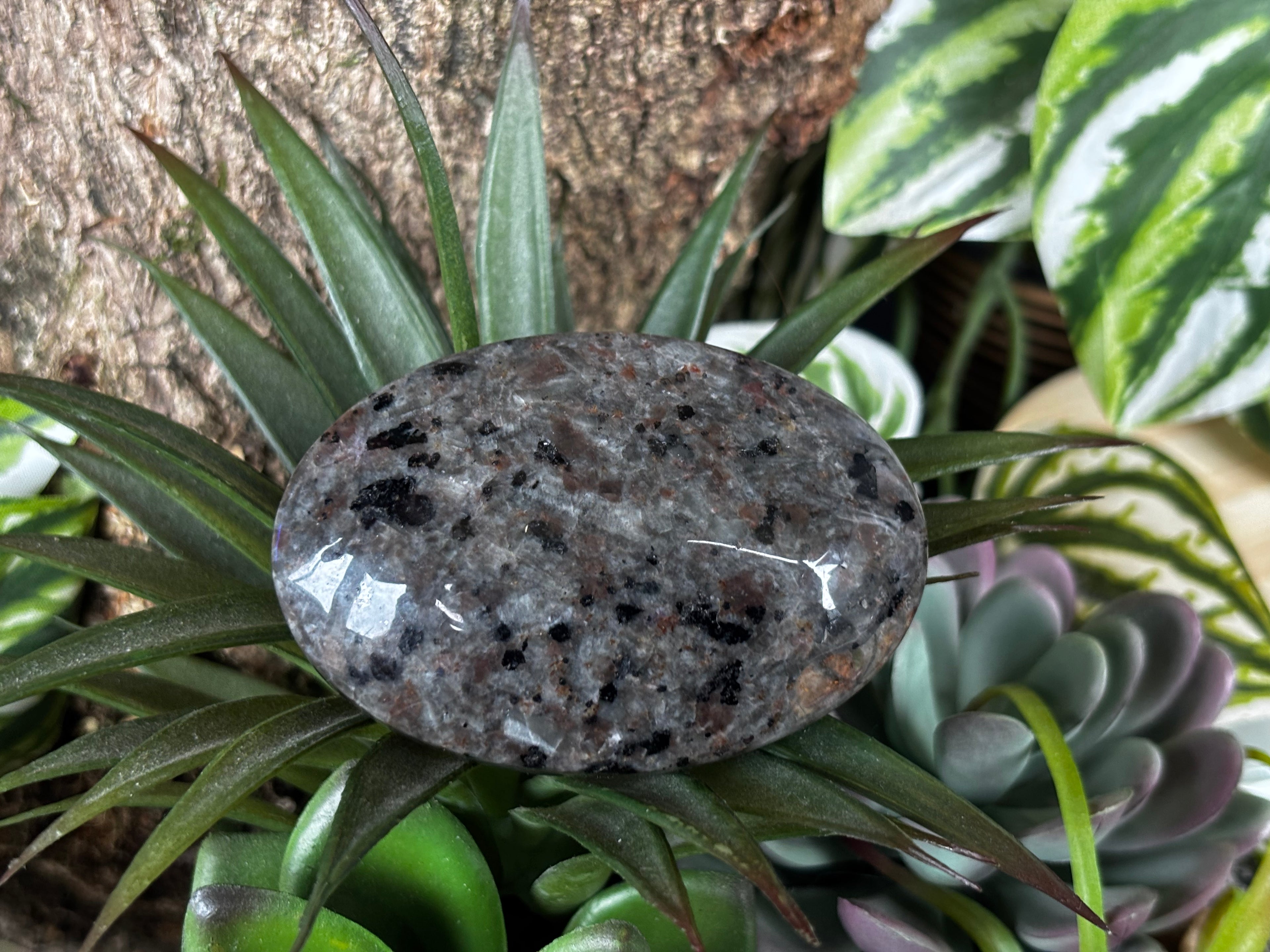 Yooperlite Palm Stone