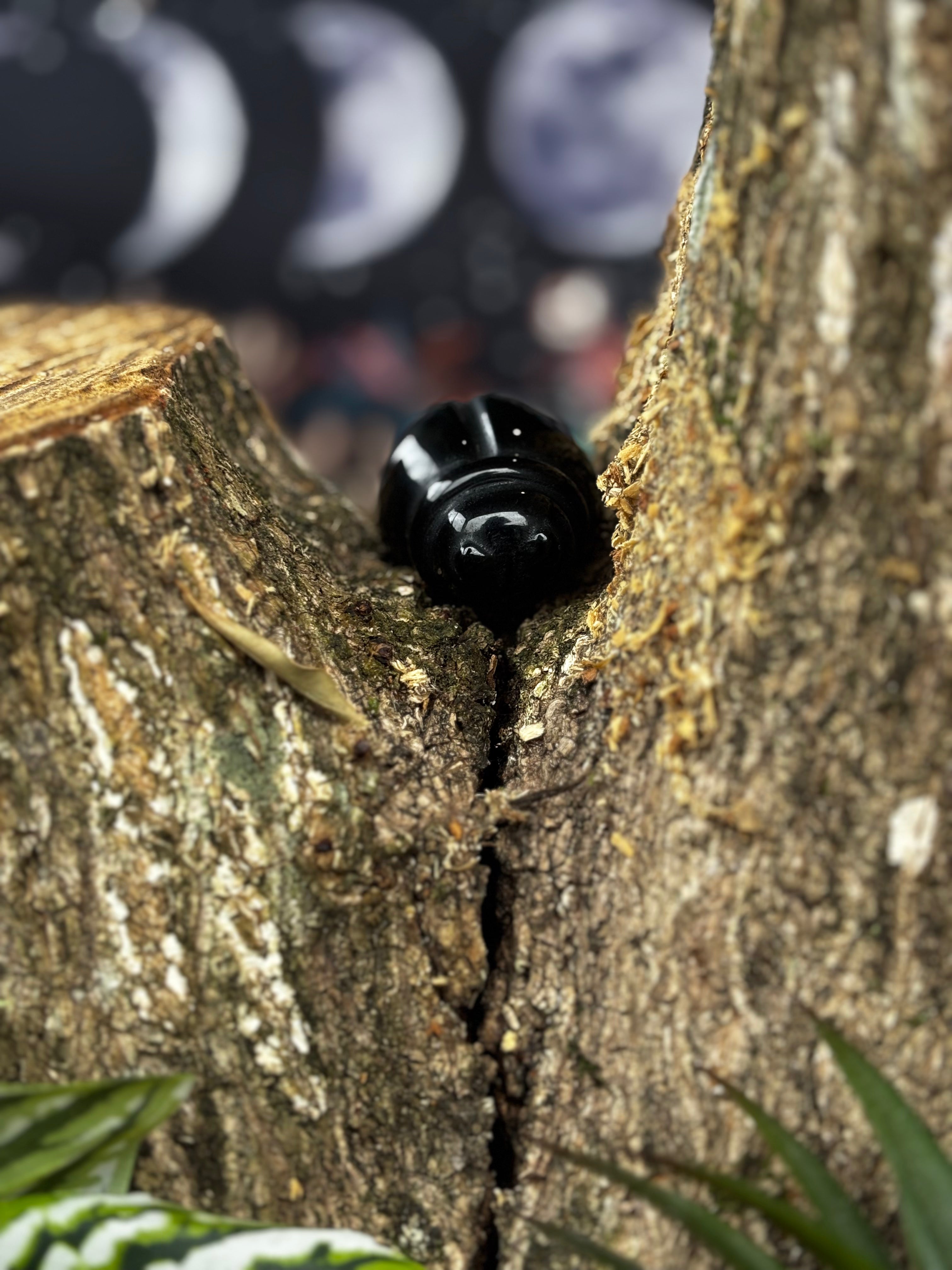 Black Obsidian Beetle Carving