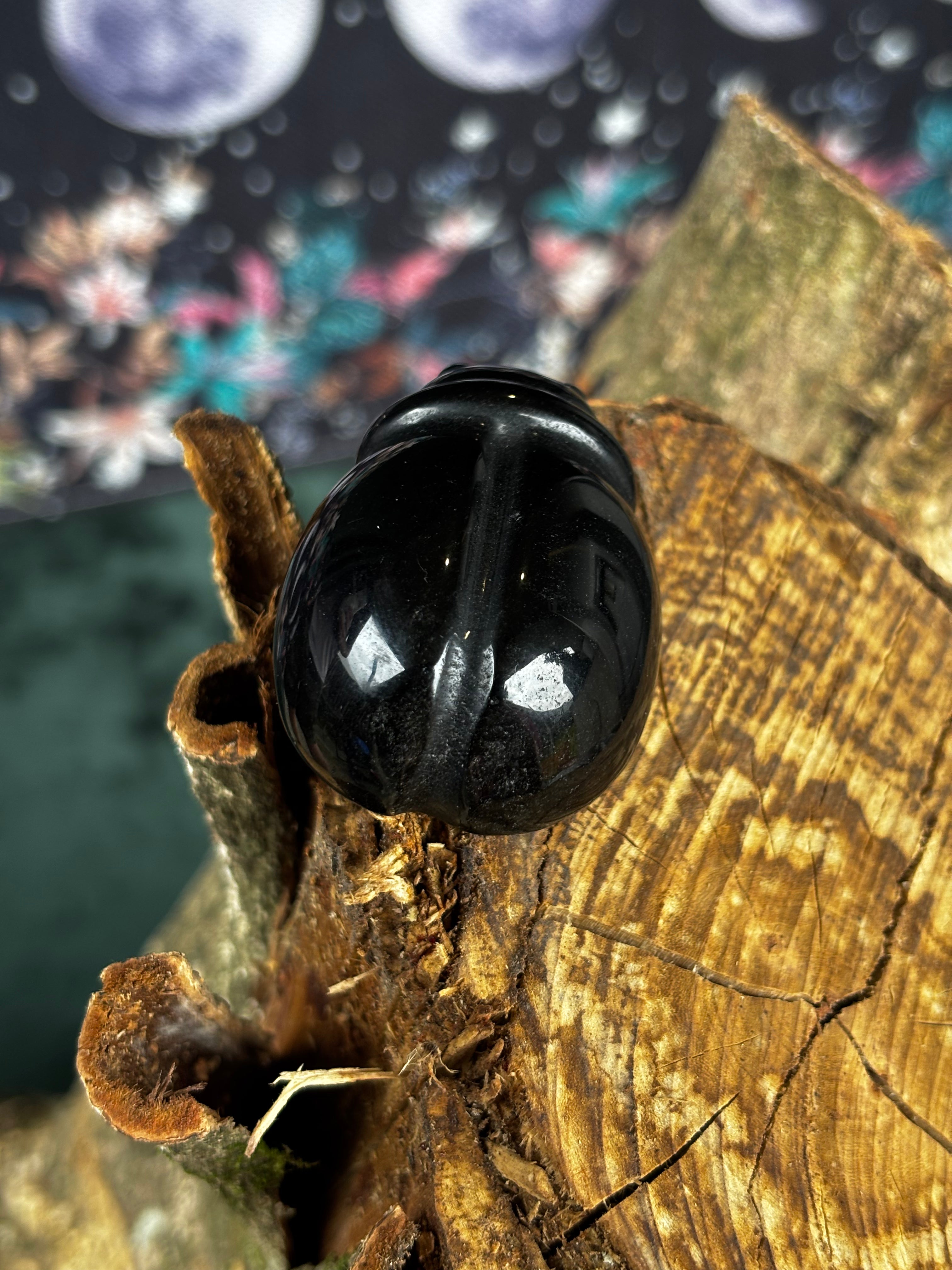 Black Obsidian Beetle Carving
