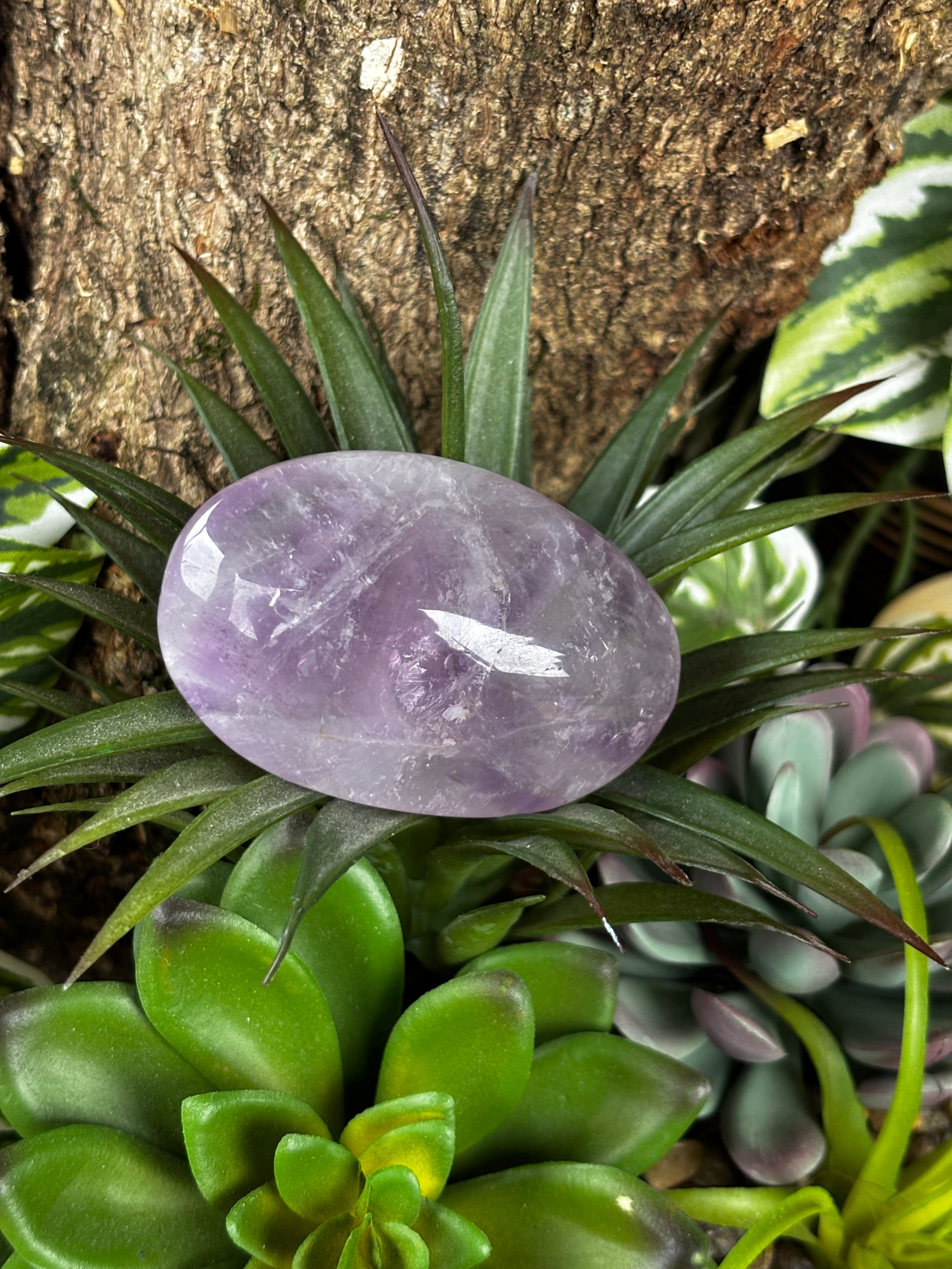 Amethyst Palm Stone