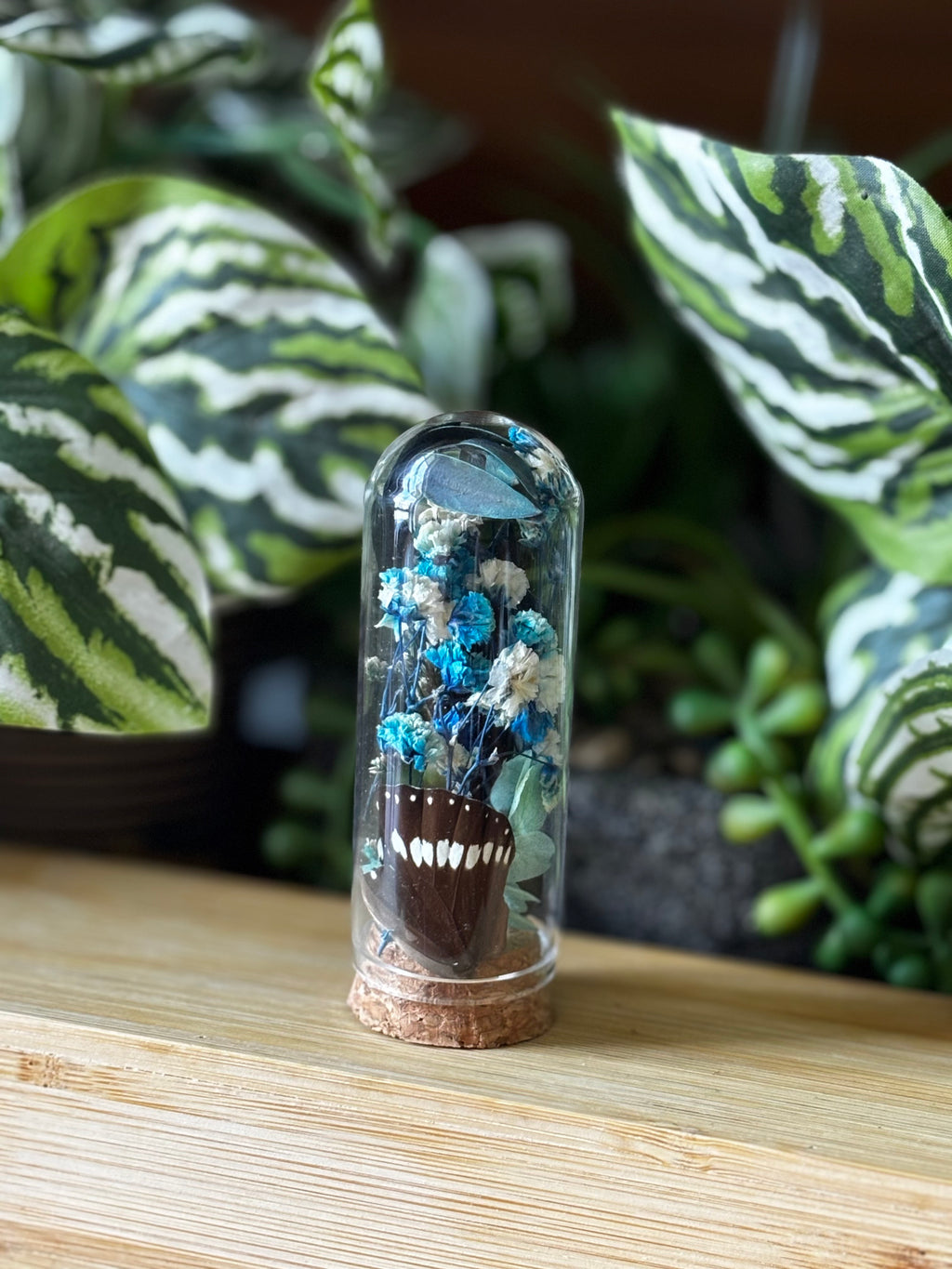 Blue Flower Butterfly Curio Dome