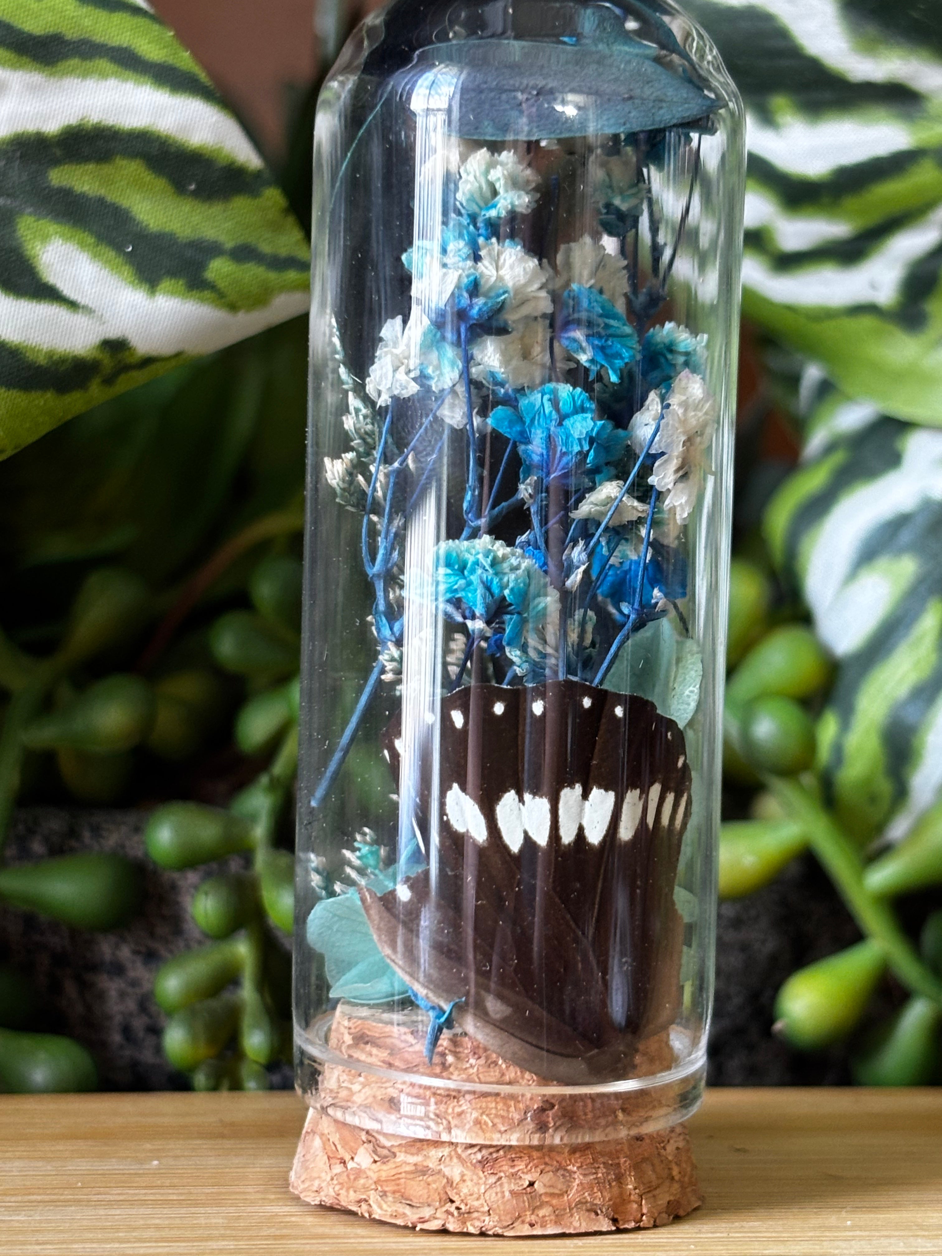 Blue Flower Butterfly Curio Dome