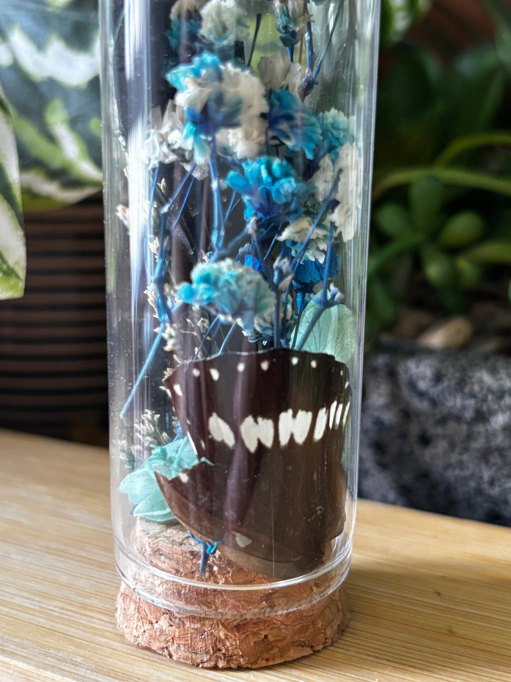 Blue Flower Butterfly Curio Dome