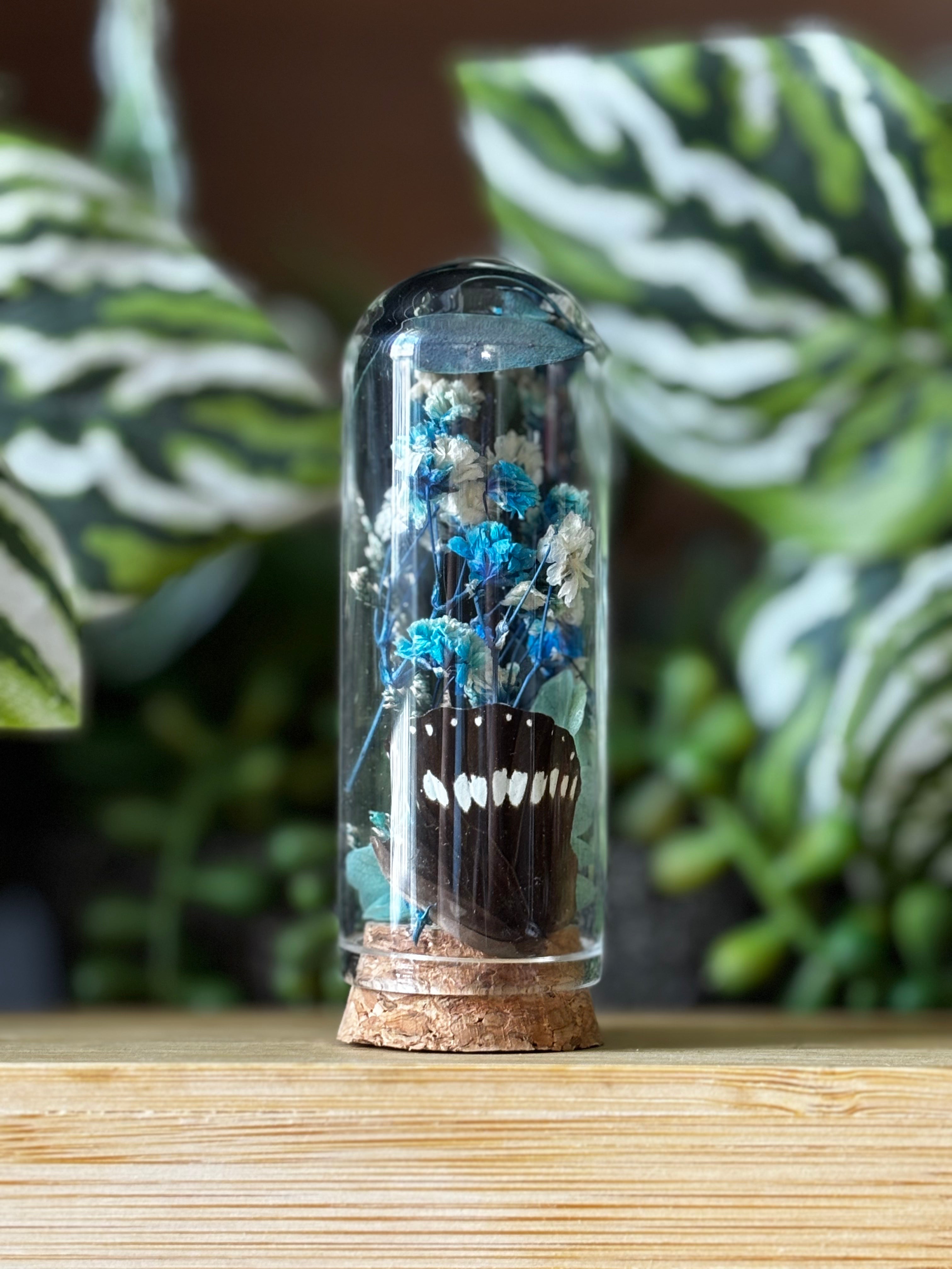 Blue Flower Butterfly Curio Dome
