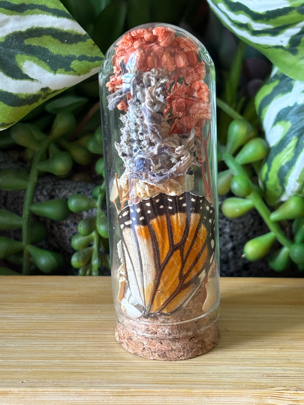 Orange Butterfly Curio Dome