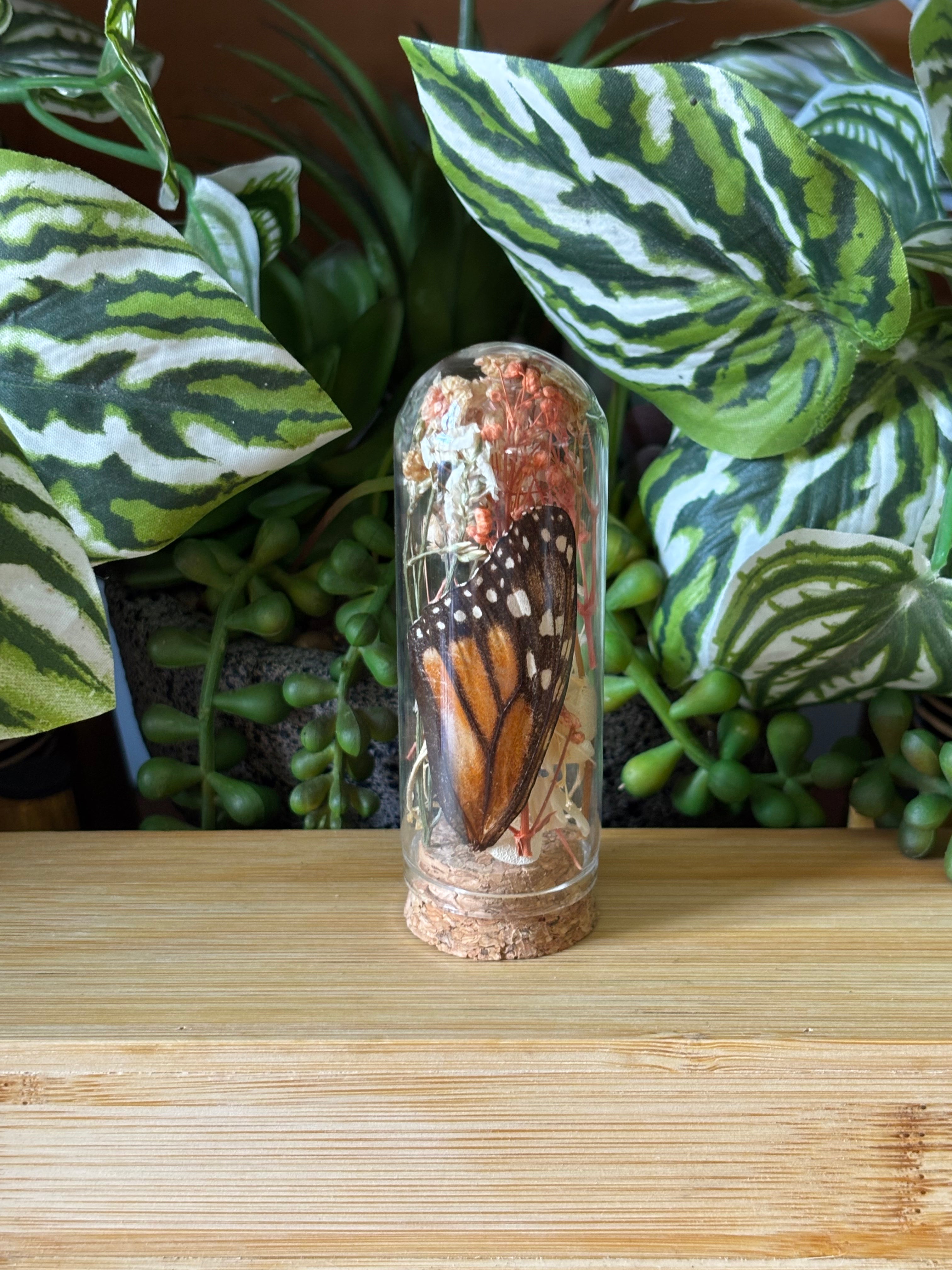 Flowers & Orange Butterfly Curio Dome