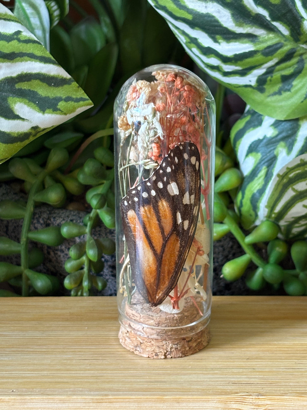 Flowers & Orange Butterfly Curio Dome
