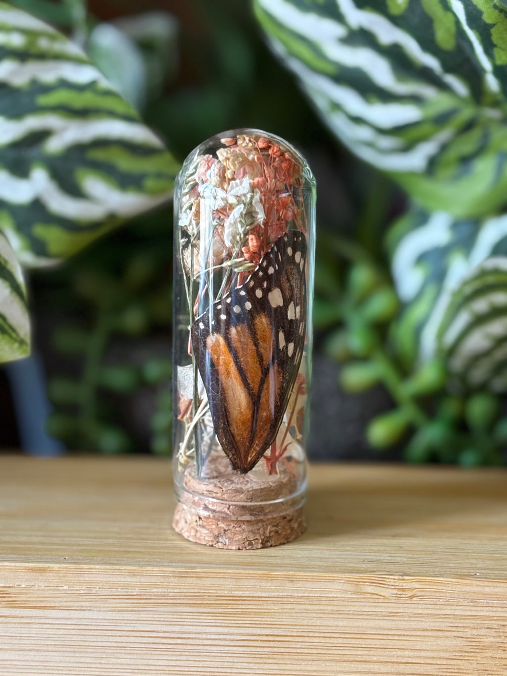 Flowers & Orange Butterfly Curio Dome