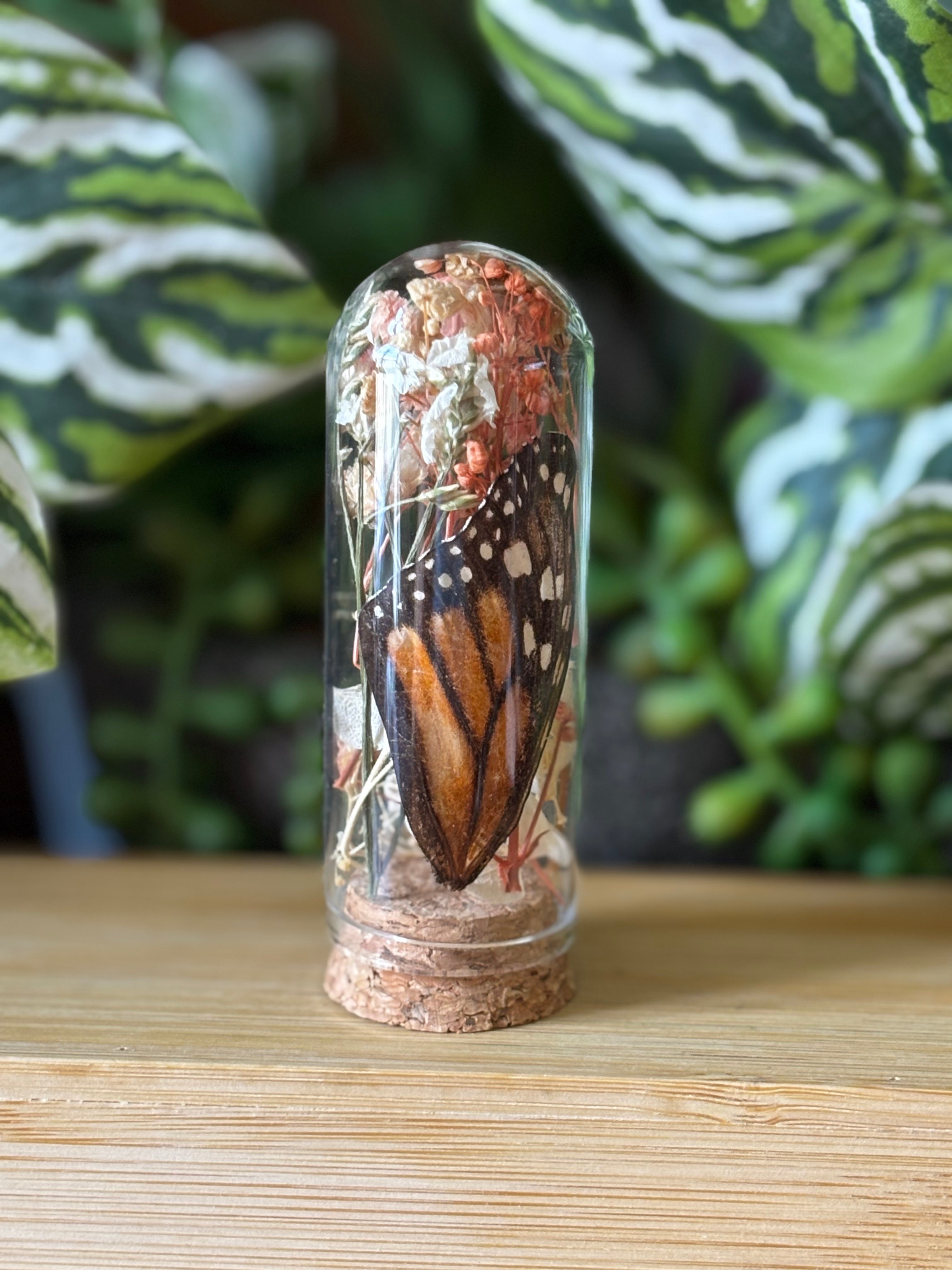 Flowers & Orange Butterfly Curio Dome