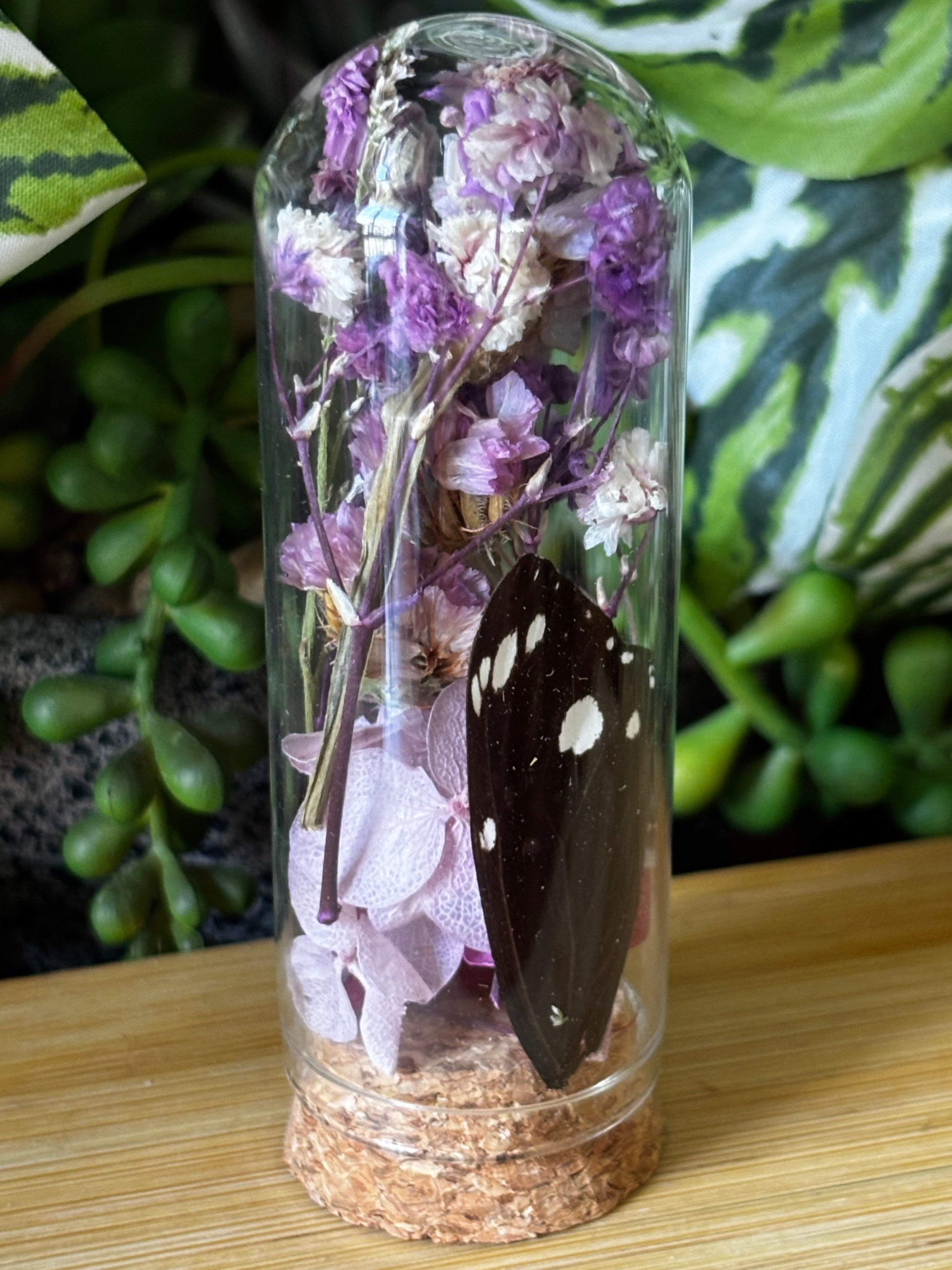 Purple Flower & Butterfly Curio Dome