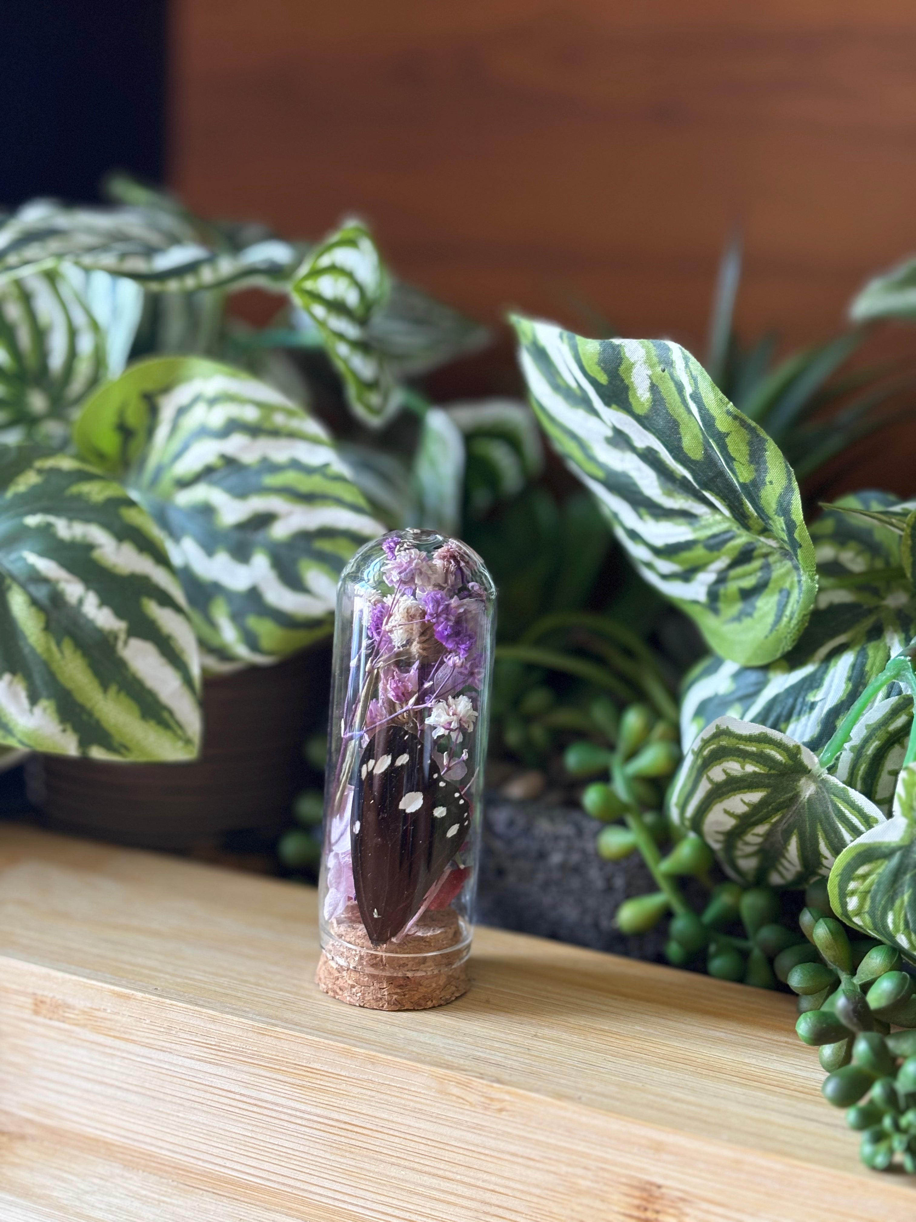 Purple Flower & Butterfly Curio Dome
